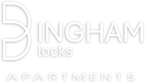 Bingham Blocks Logo