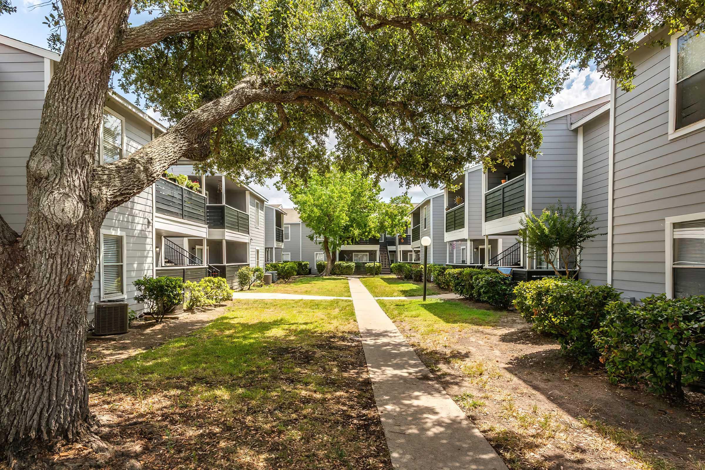 A view of a residential apartment complex featuring gray buildings arranged around a central green courtyard. The area is shaded by a large tree, with manicured bushes and a paved pathway leading through the landscape. Bright sunlight illuminates the scene, creating a welcoming atmosphere.