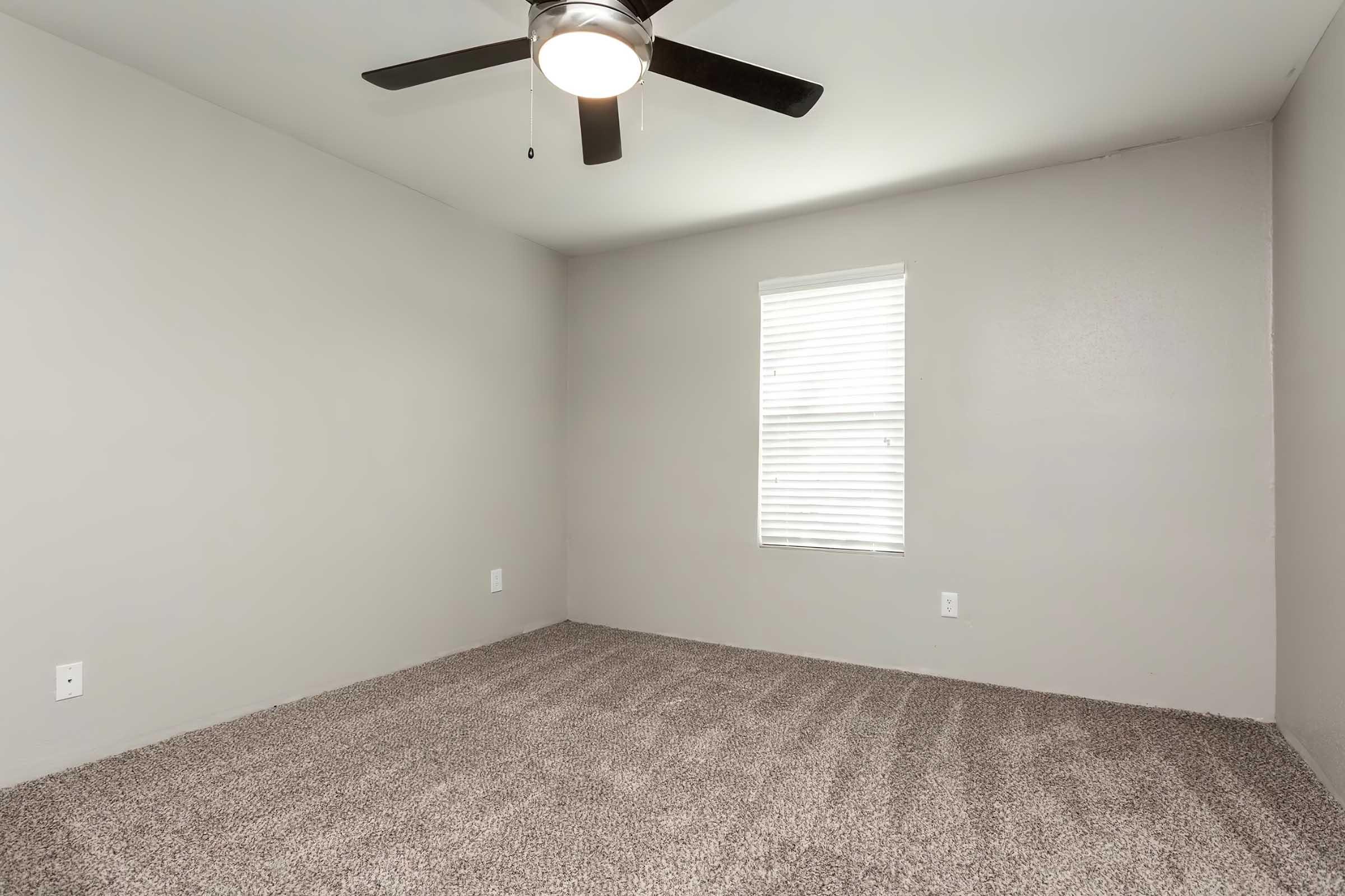 A spacious, unoccupied room with light gray walls and soft, beige carpet. There is a ceiling fan with black blades, and a window with white blinds allowing natural light to enter the room. The overall ambiance is neutral and inviting, perfect for personal customization.