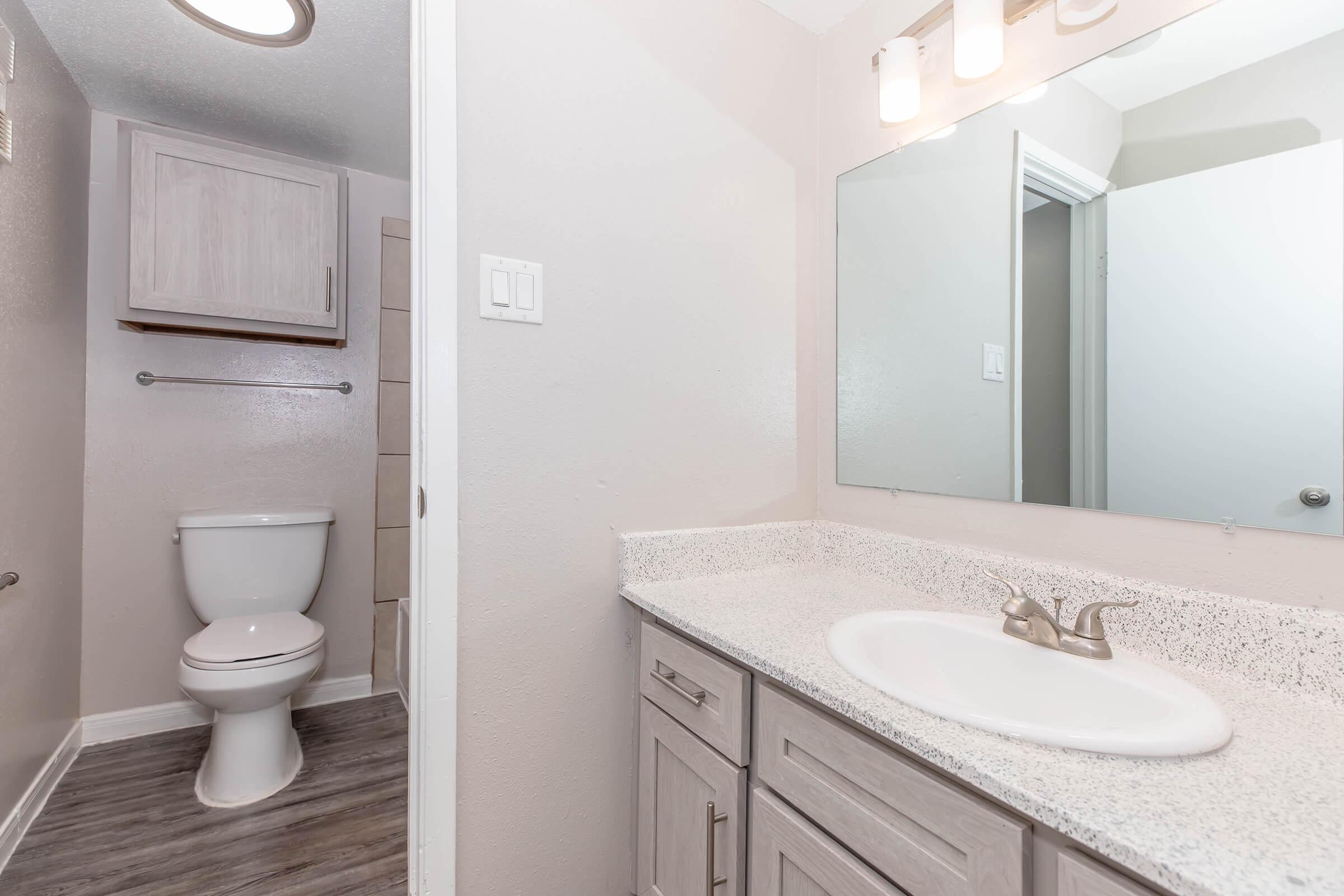 A modern bathroom featuring a light-colored vanity with a sink and faucet, a wall-mounted mirror, a white toilet, and a paneled wall. The walls are painted in a soft beige hue, and the floor has dark laminate flooring. Good lighting is provided by fixtures above the mirror.