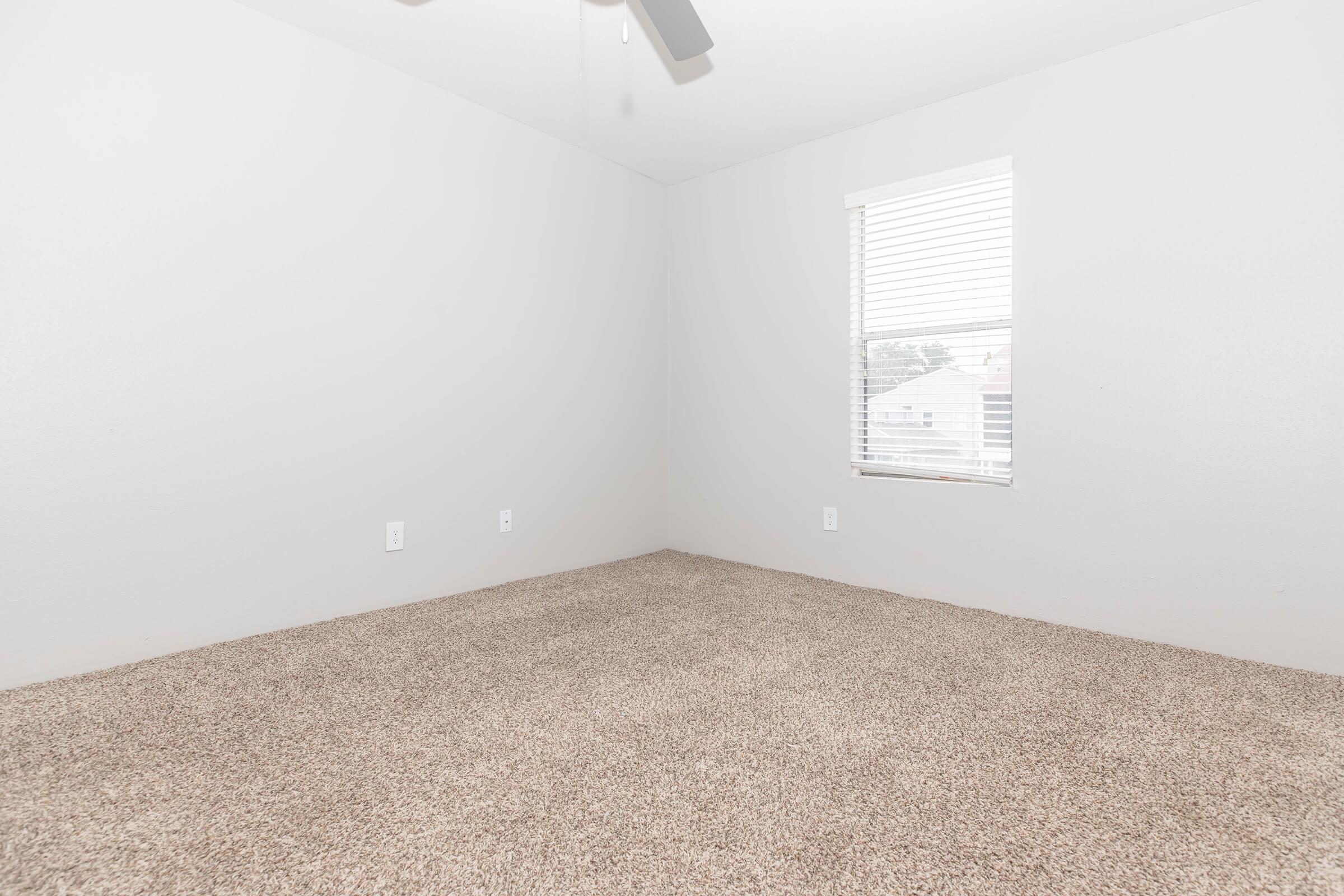 A vacant room with light gray walls and a large window featuring white blinds. The floor is covered with beige carpet. There are no visible furnishings or decorations, creating a spacious and empty appearance.