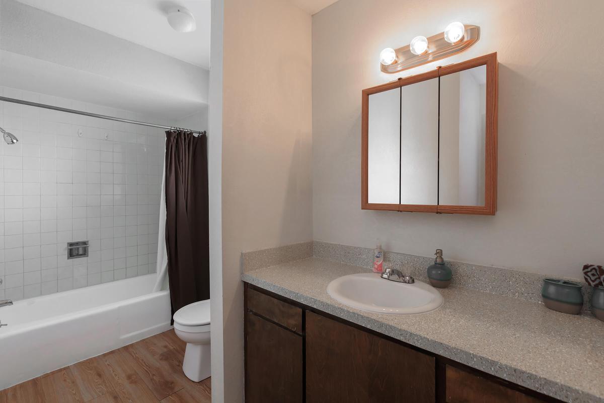 a room with a sink and a mirror