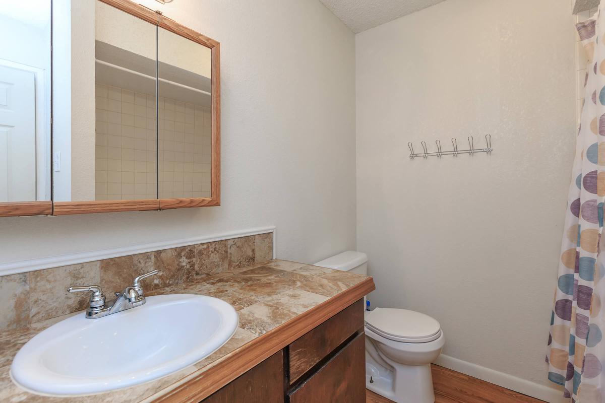 a sink and a mirror