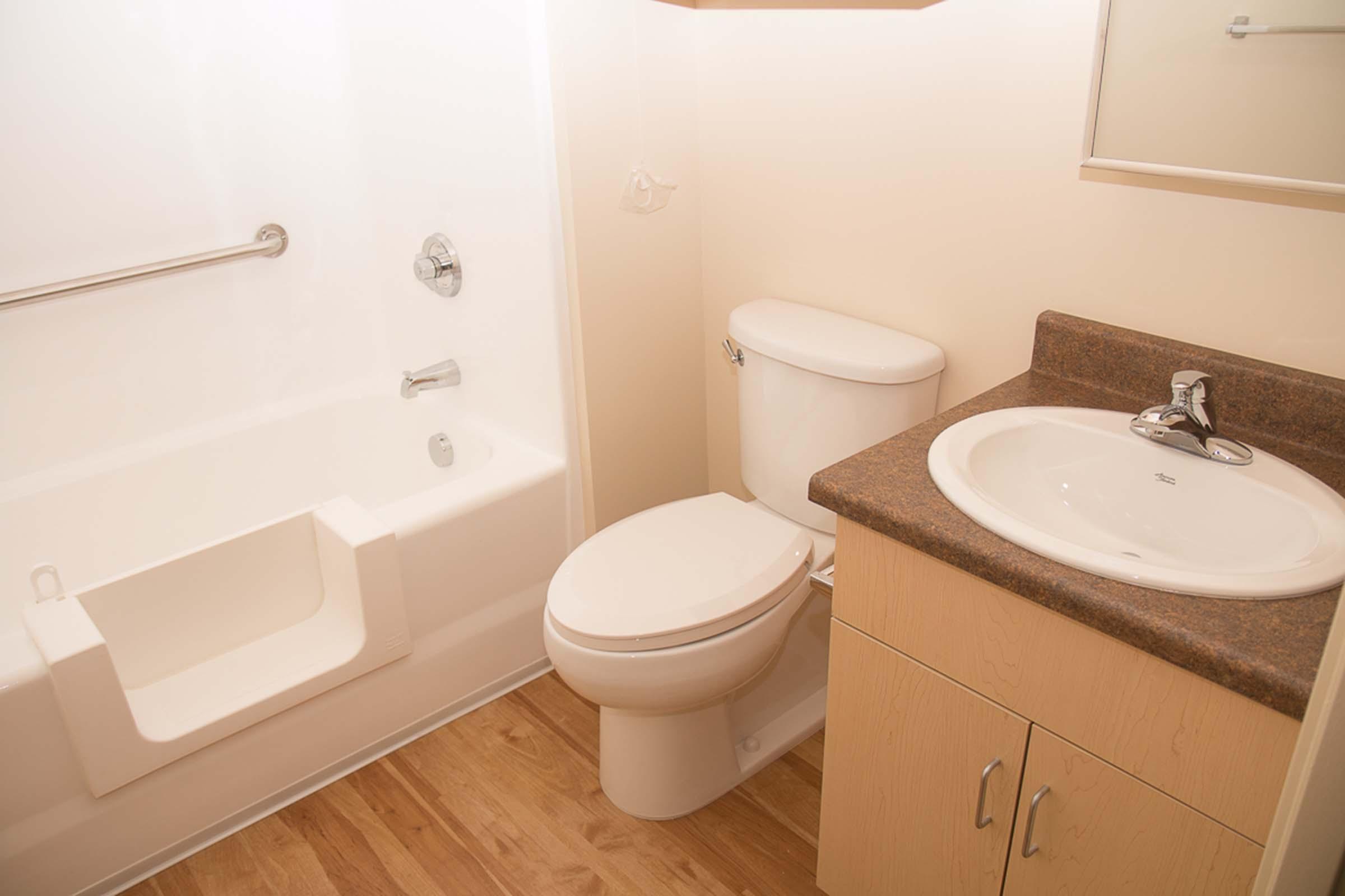 Bathrooom with sink, toilet, and step-in shower tub.