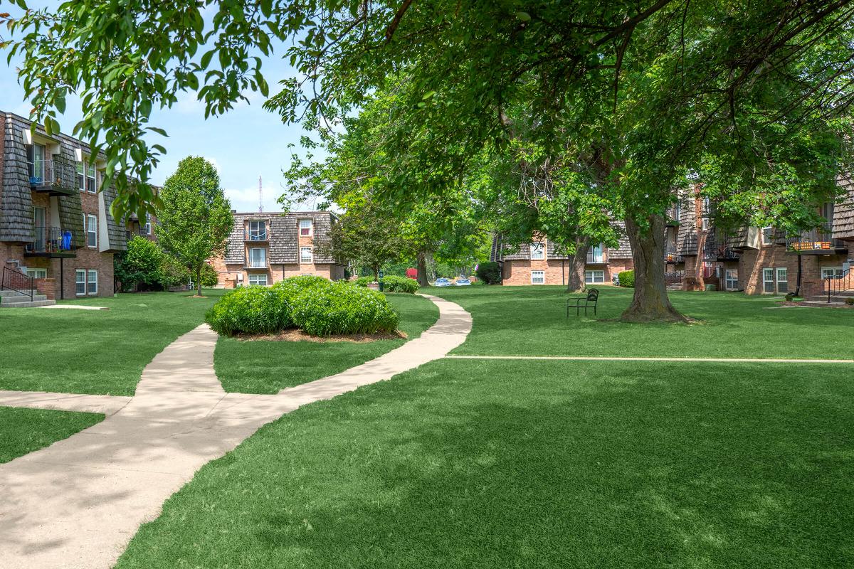 a large lawn in front of a tree