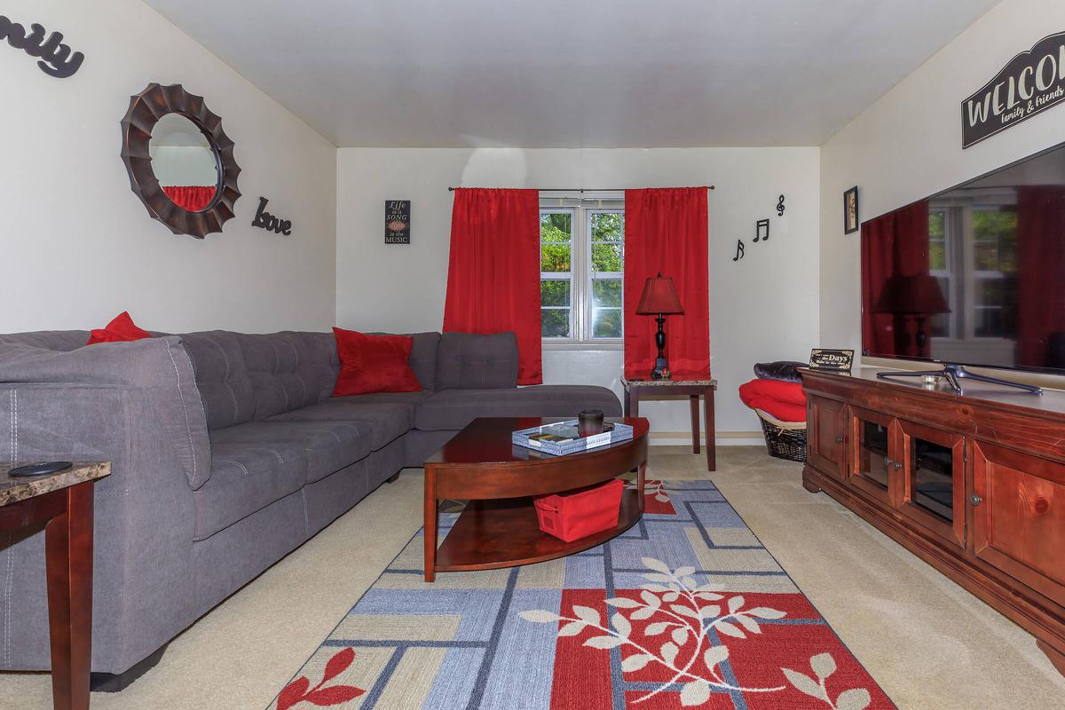 a living room filled with furniture and a red rug