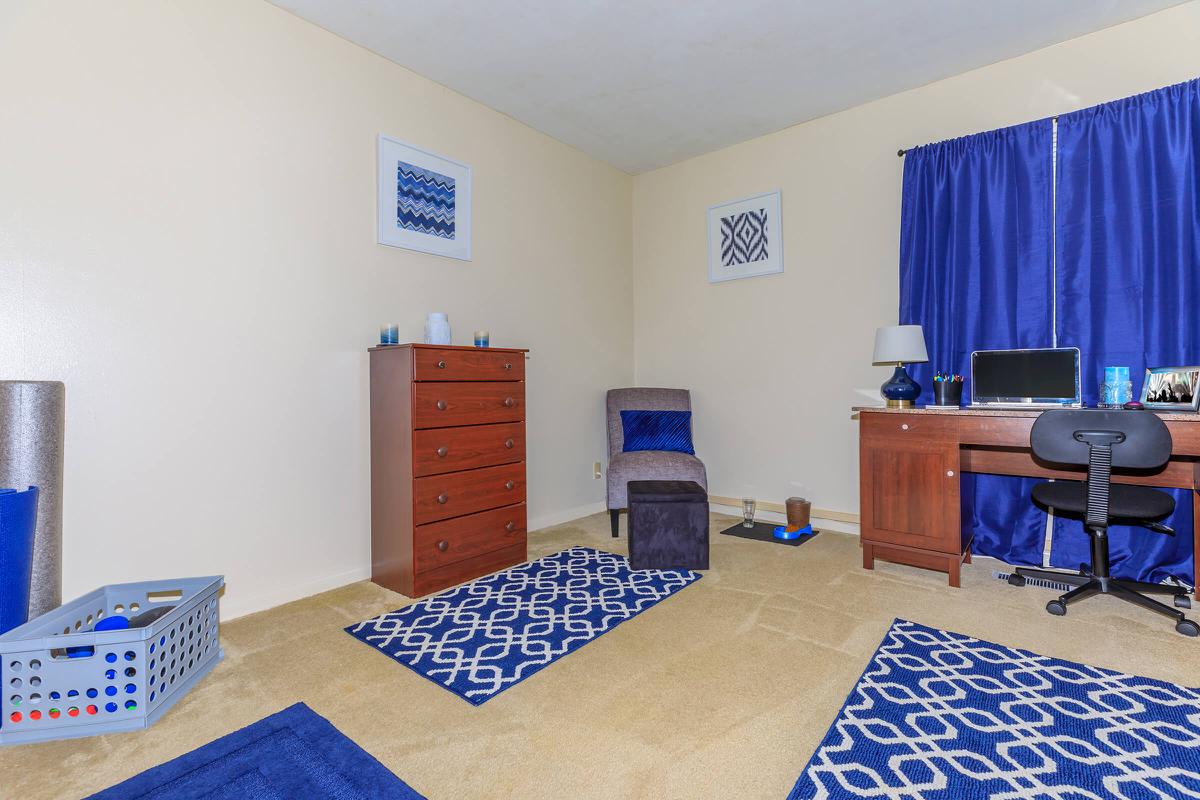 a living room filled with furniture and a rug