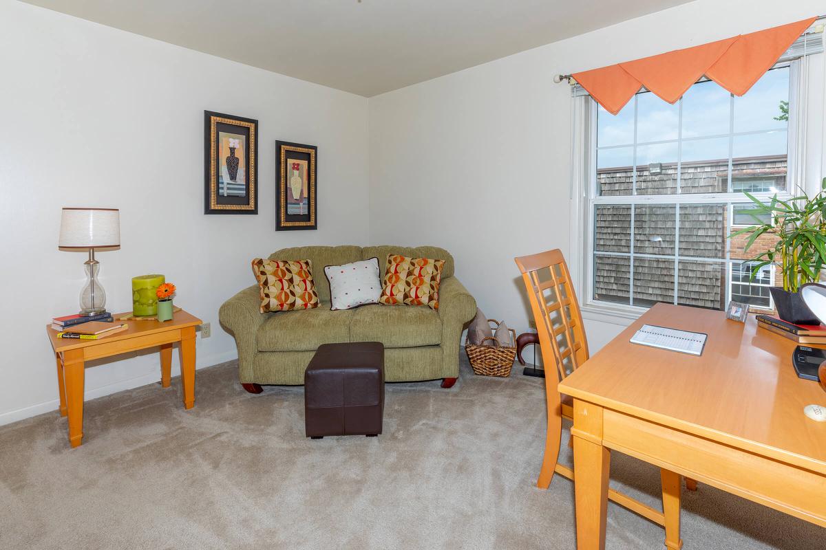 a living room filled with furniture and a rug