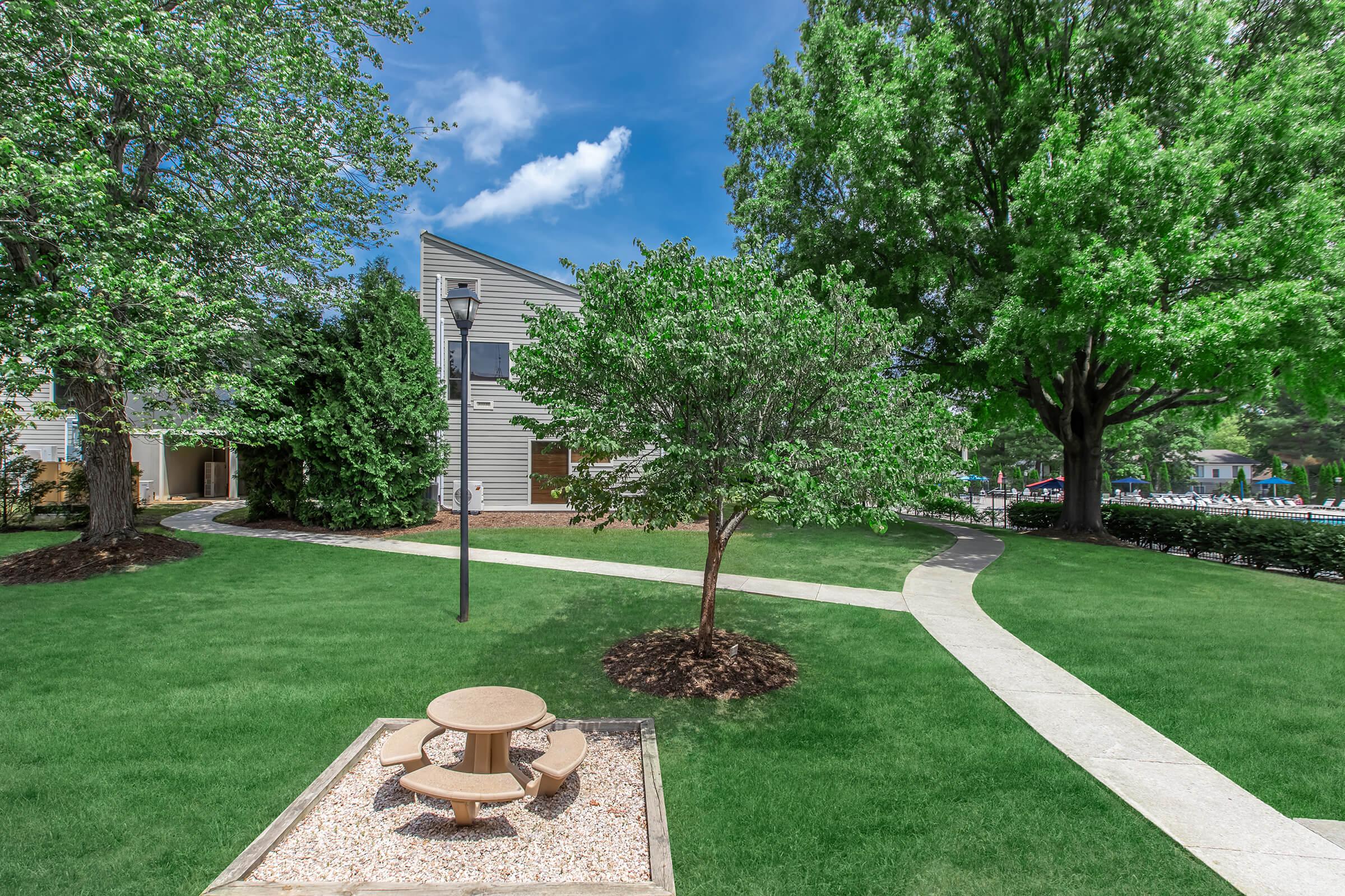 a large lawn in front of a tree