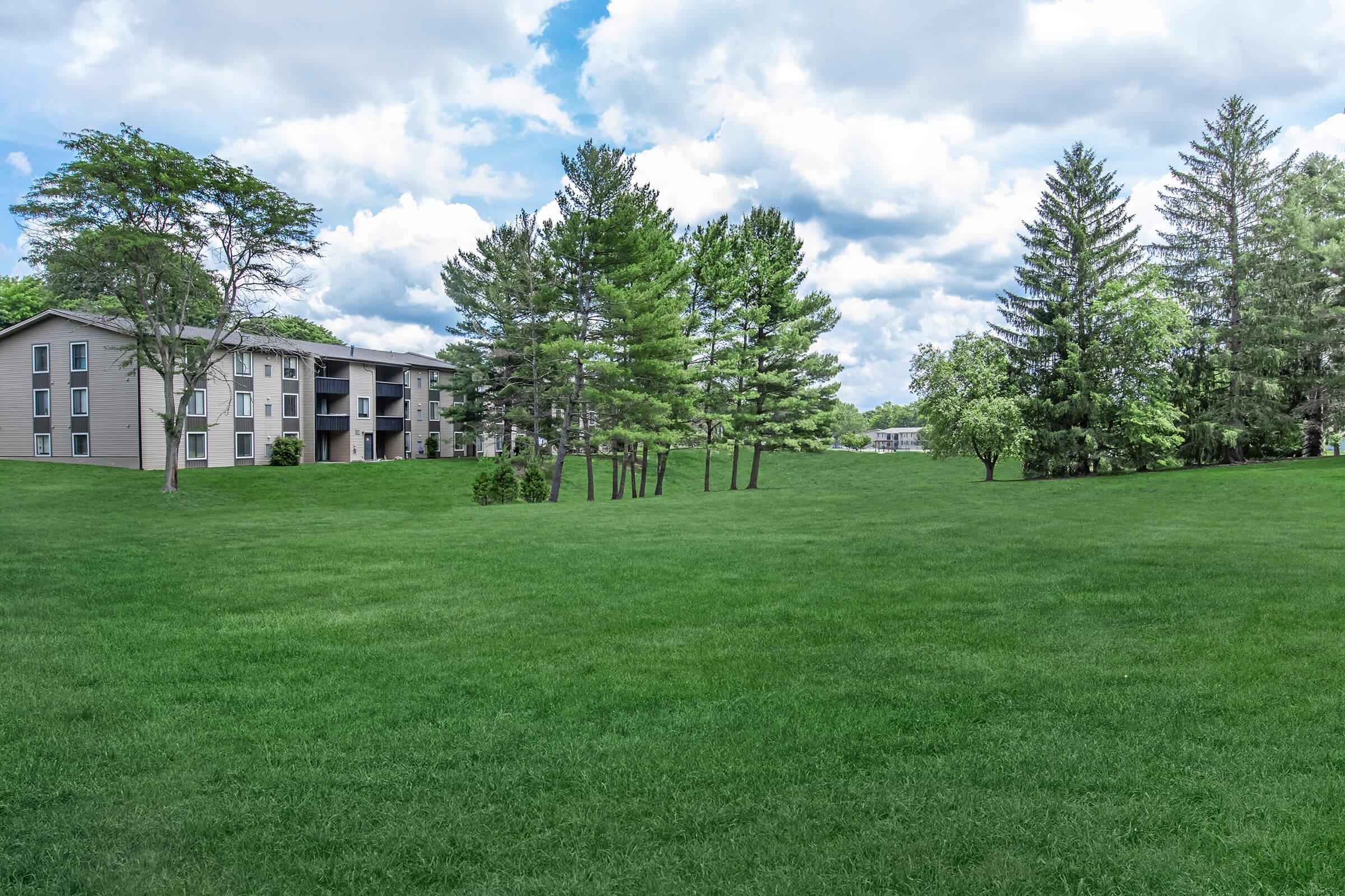 a large green field with trees in the background