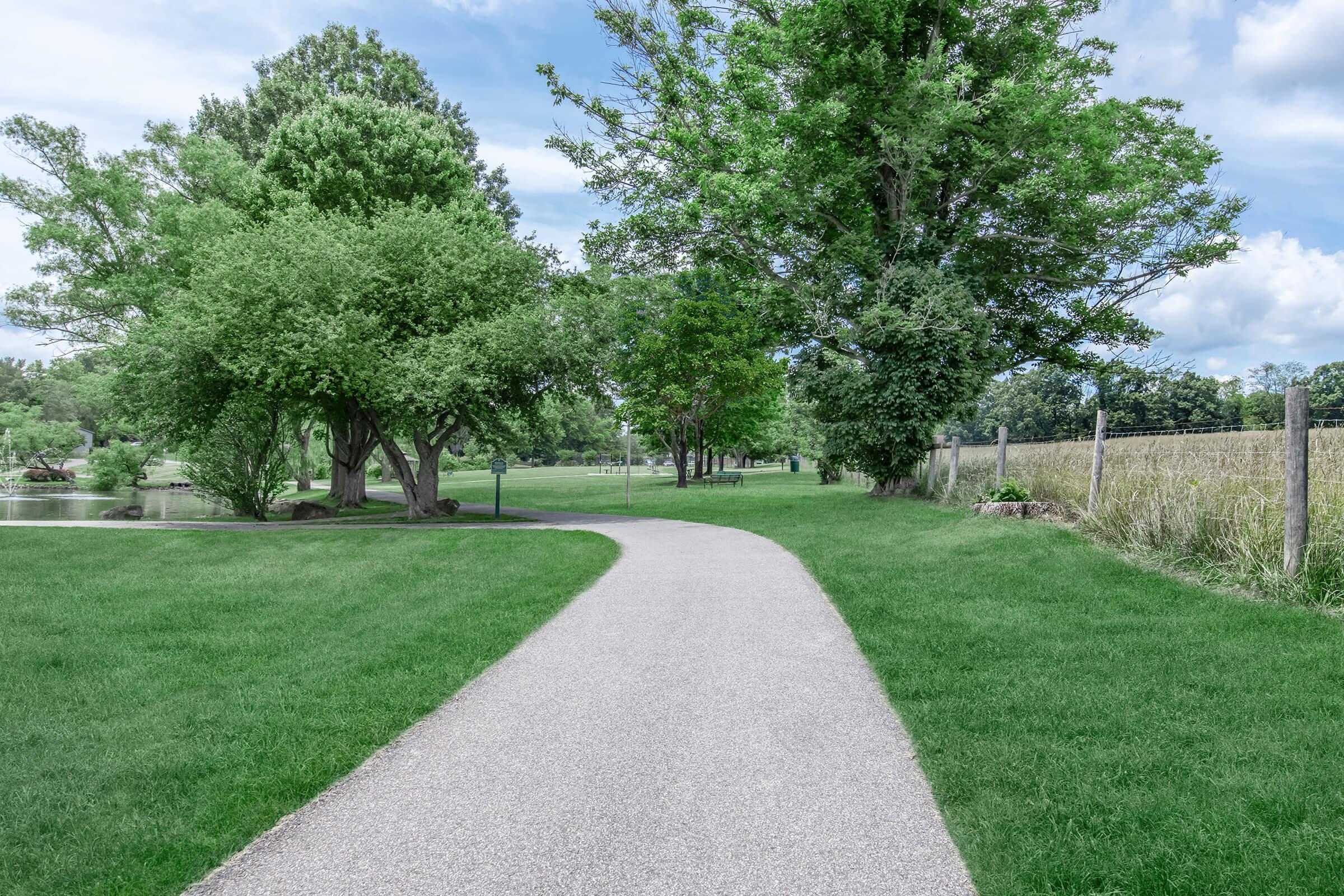 a path with grass in front of a tree