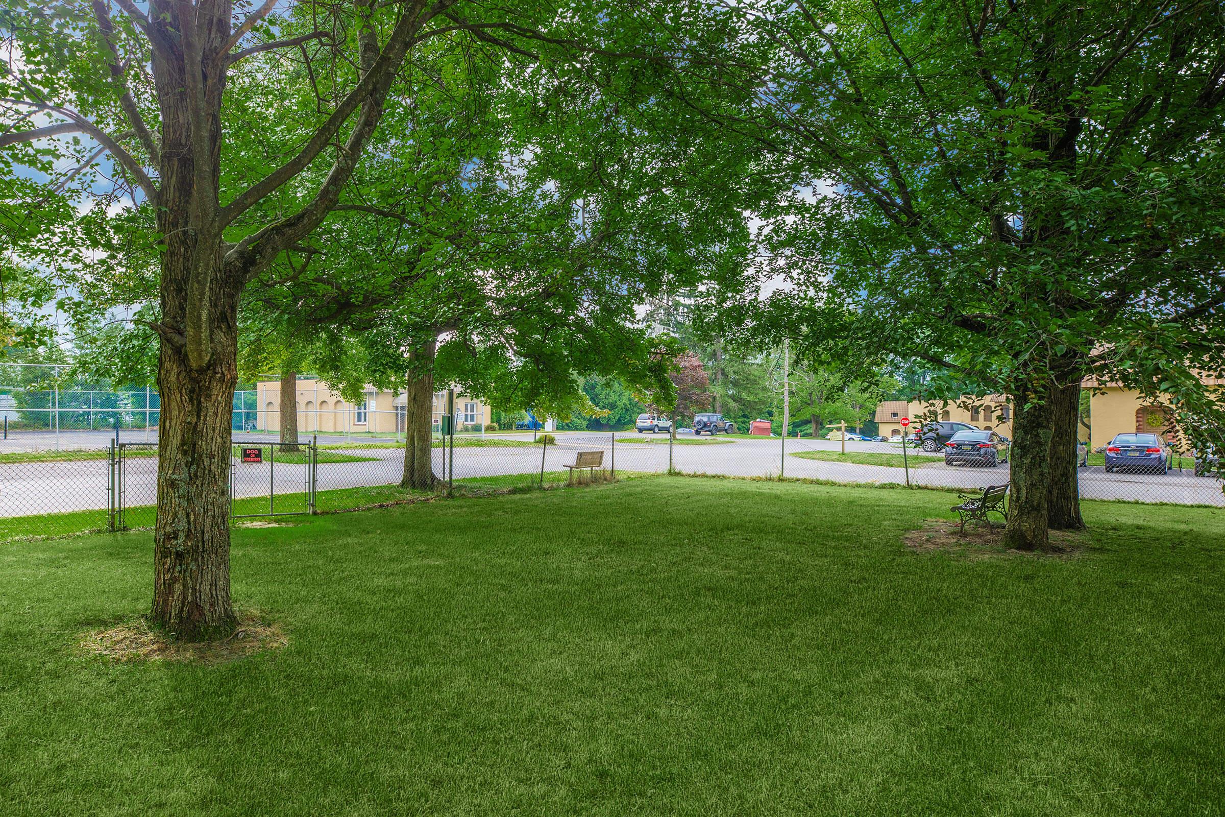 a tree in front of a green field