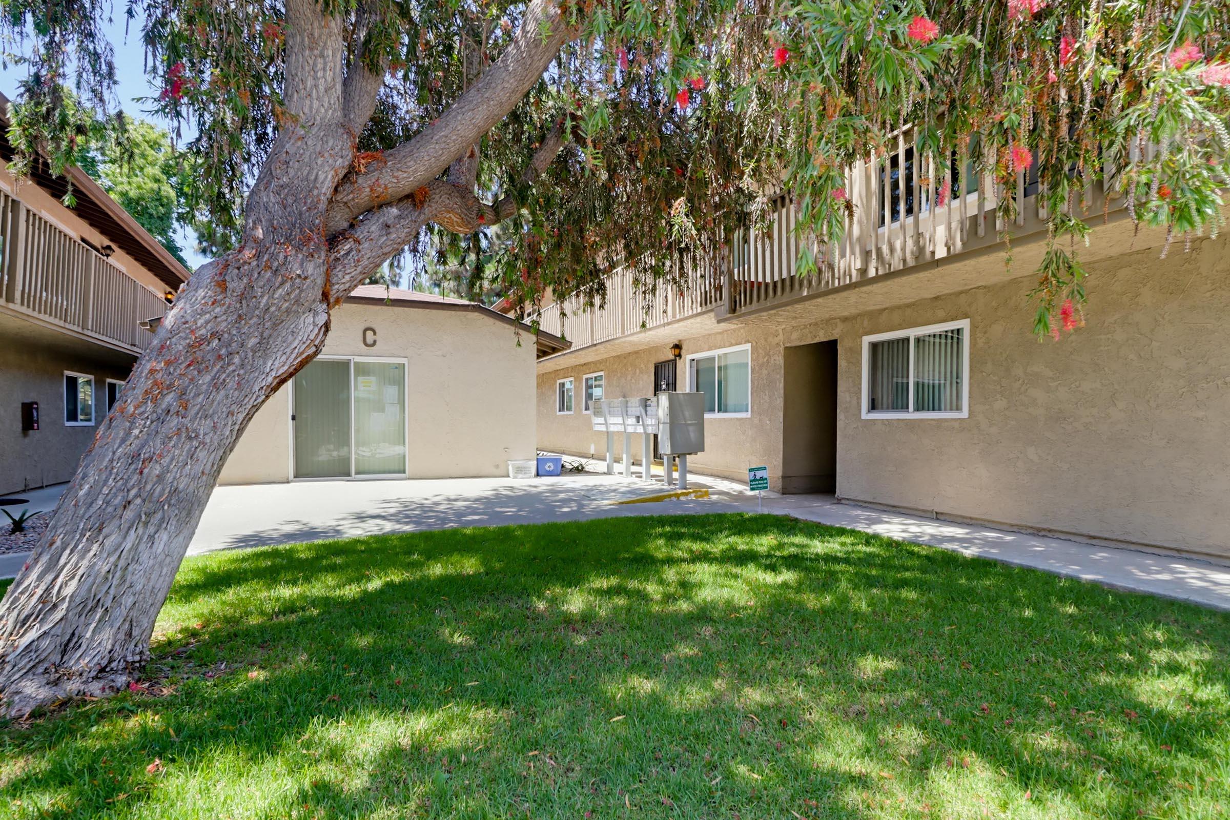 A courtyard area of an apartment complex featuring a large tree, grassy lawn, and a two-story building with multiple units. There are walking paths and a sliding glass door visible in the background, creating a peaceful outdoor space for residents.
