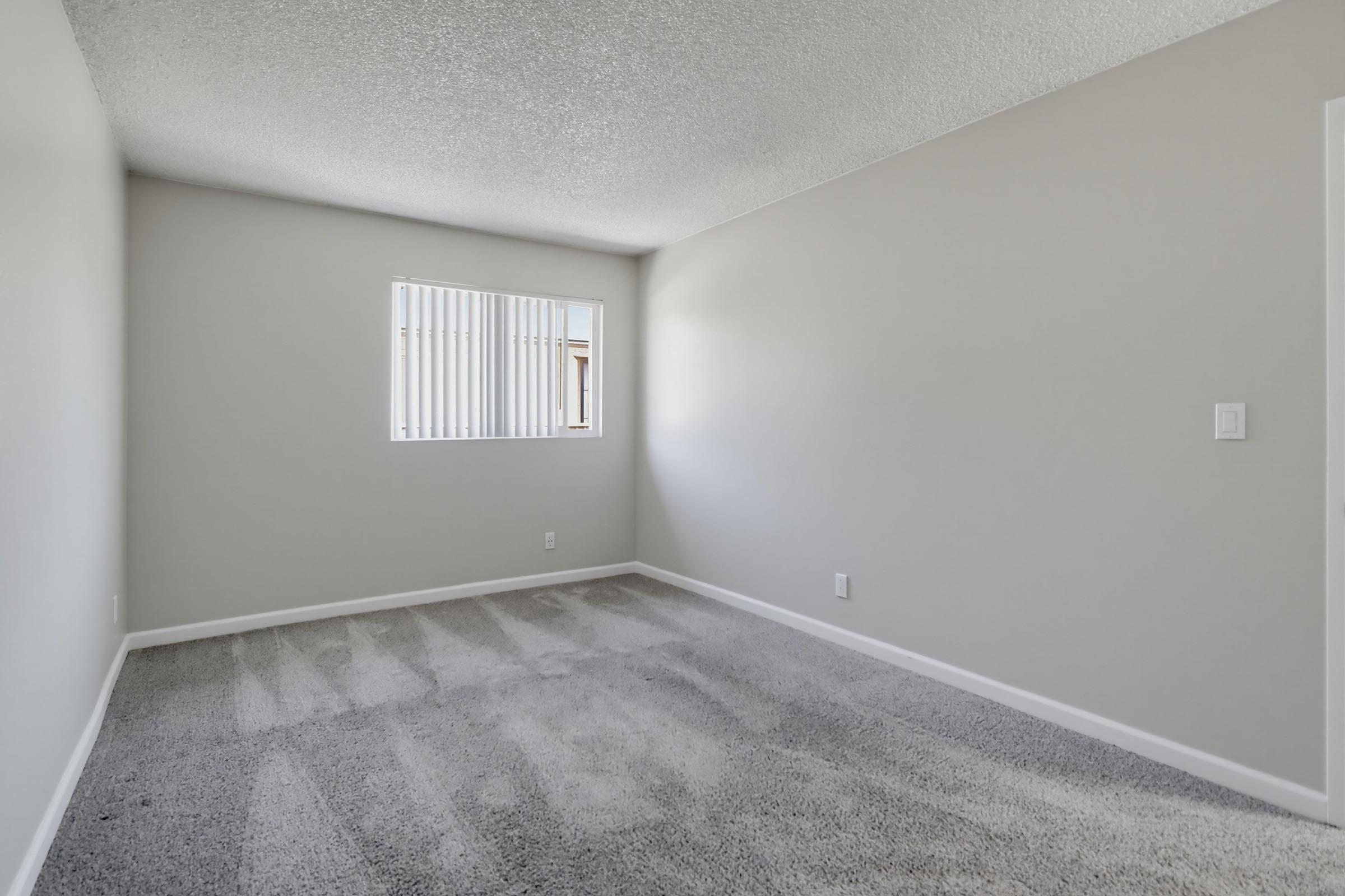 Empty room with light gray walls, carpeted floor, and a single window with white blinds. The room has a minimalist feel, featuring no furniture or decorations, creating a spacious and airy atmosphere. Natural light enters through the window, highlighting the clean lines and neutral color palette.