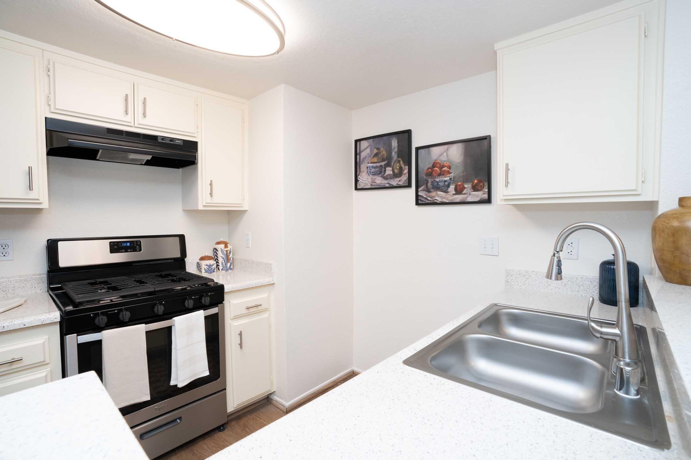 Modern kitchen featuring light-colored cabinetry, a gas stove, and a stainless steel sink. The countertop is made of a light-colored material, and there are two framed pictures on the wall depicting fruit still lifes. A circular ceiling light provides illumination in the space.