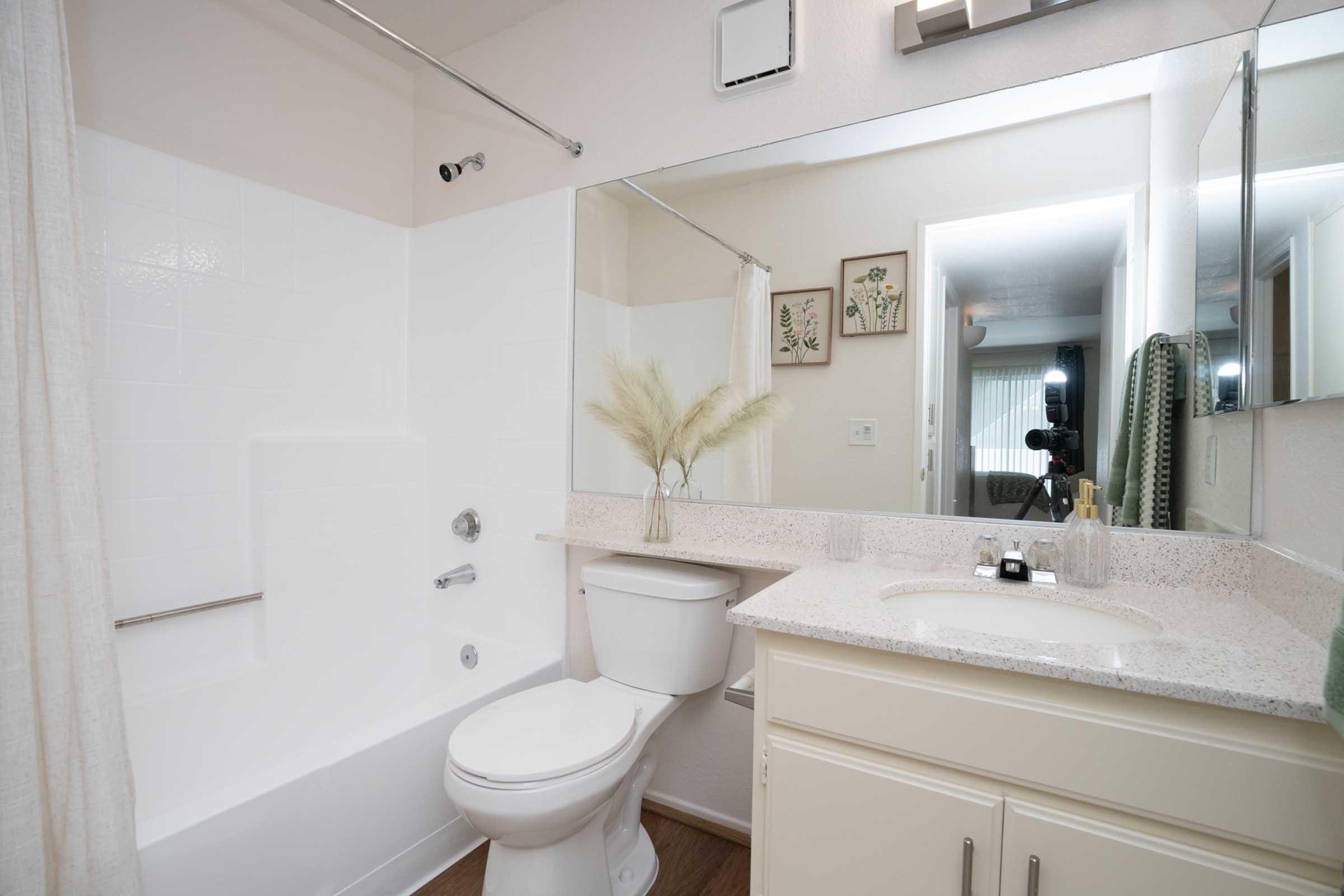 A clean and modern bathroom featuring a bathtub with a shower, a white toilet, and a vanity with a sink. Decorative plants and framed artwork add a touch of warmth. The room is well-lit with a mirror reflecting the space, and there’s a window with sheer curtains in the background.