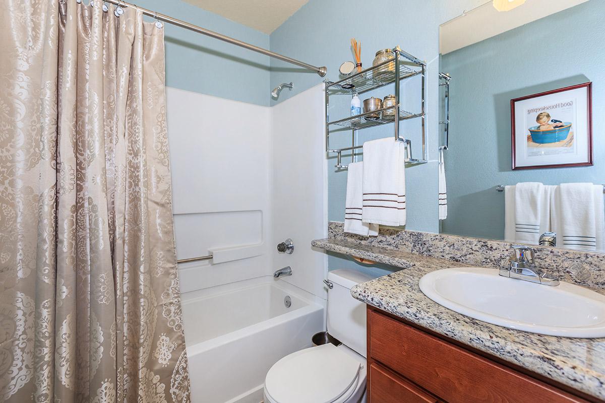 a shower curtain next to a sink