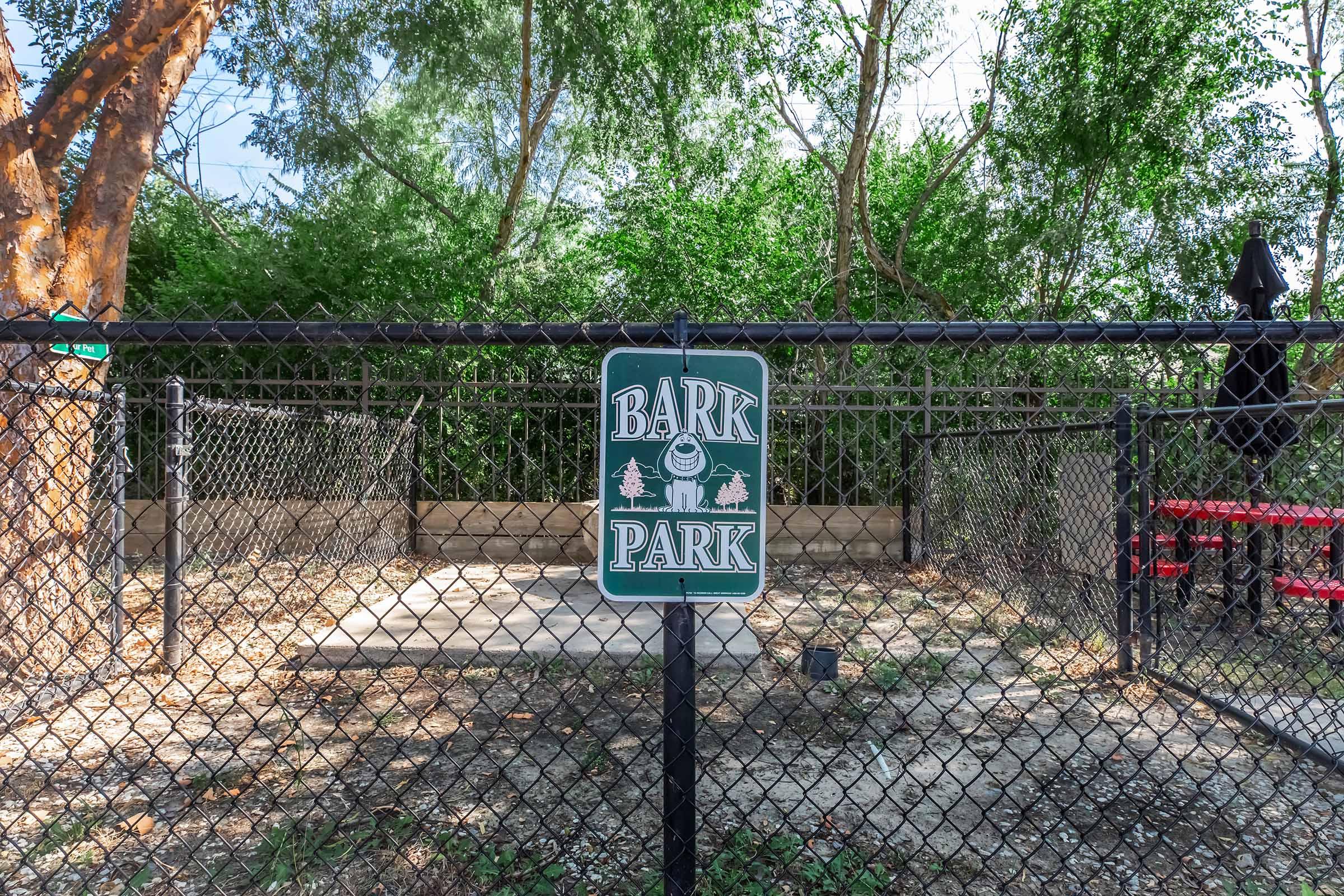 a dog in a fenced in area