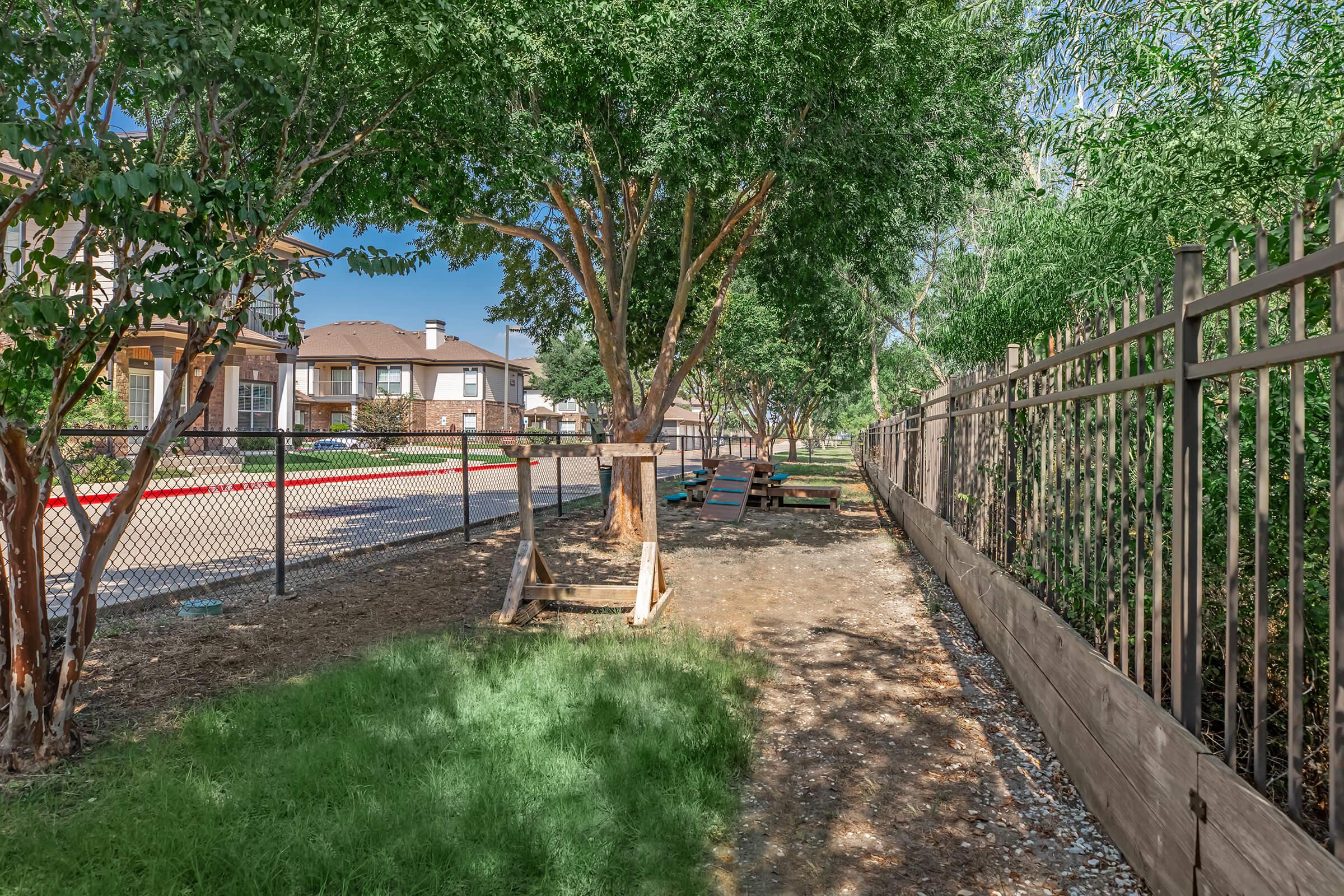 a group of palm trees and a fence