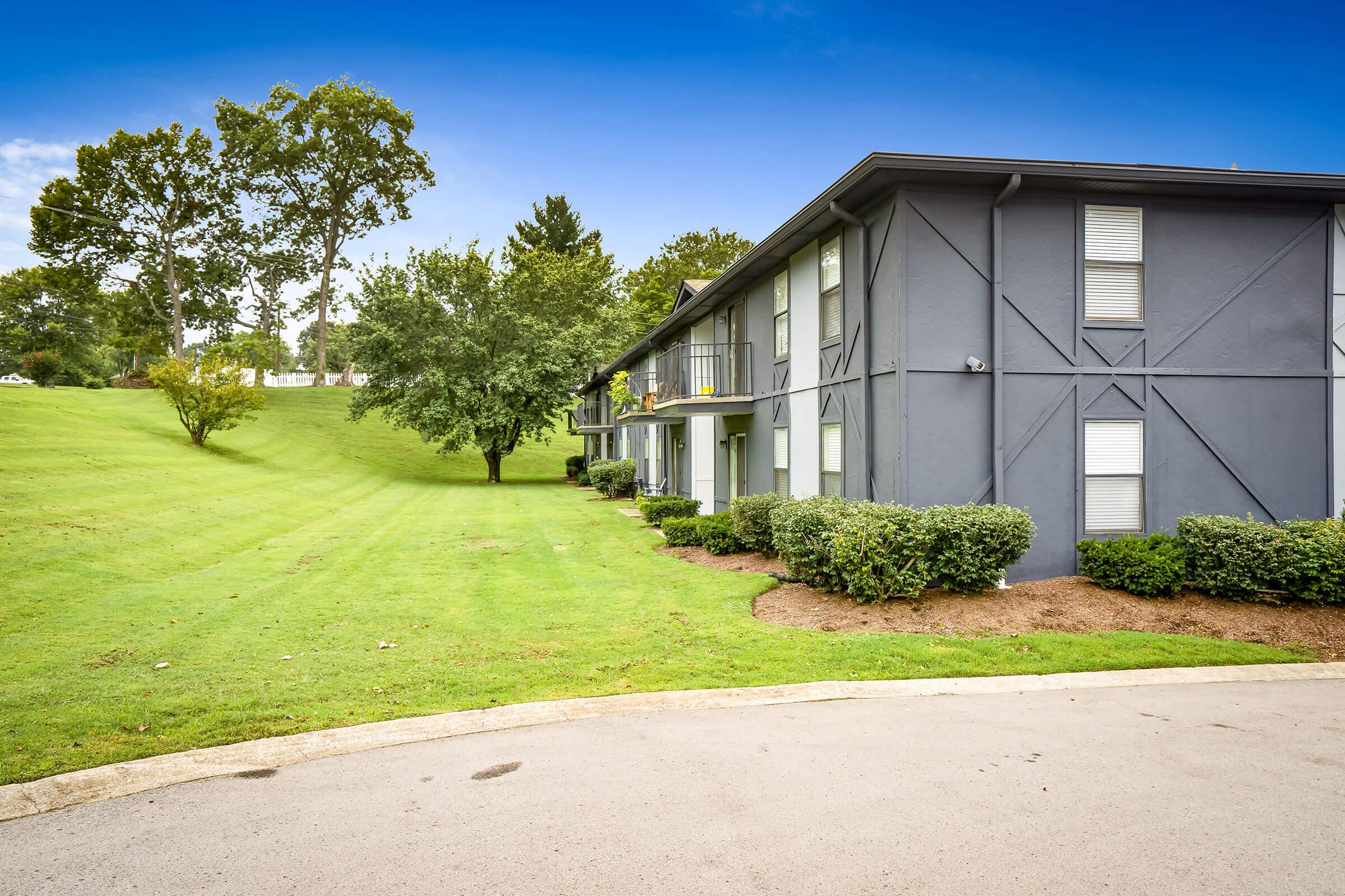 Side view with trees and grass area