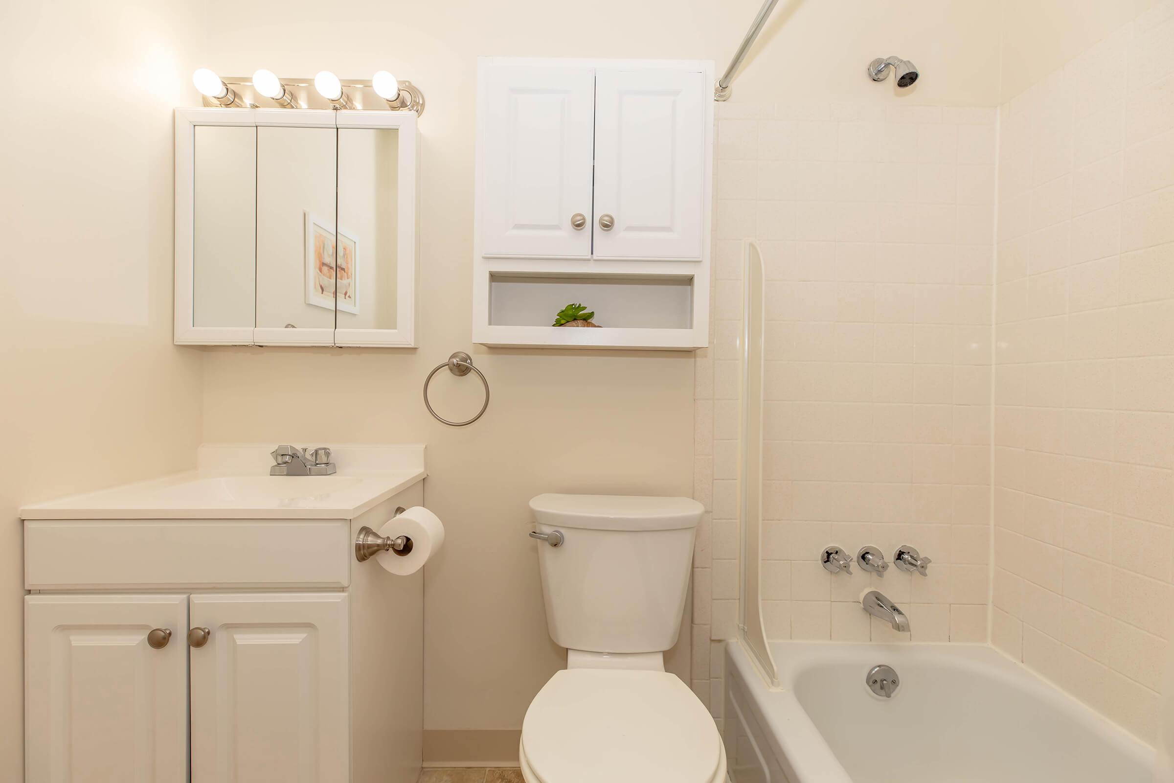 A clean and well-lit bathroom featuring a white vanity with a large mirror, a toilet, and a bathtub with a shower. The walls are painted a soft beige, and there is a small shelf above the toilet with a decorative plant. Bright light fixtures illuminate the space.