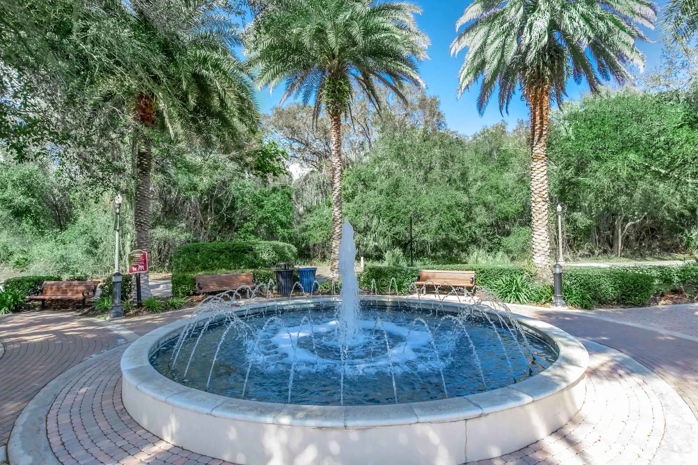 a pool next to a palm tree