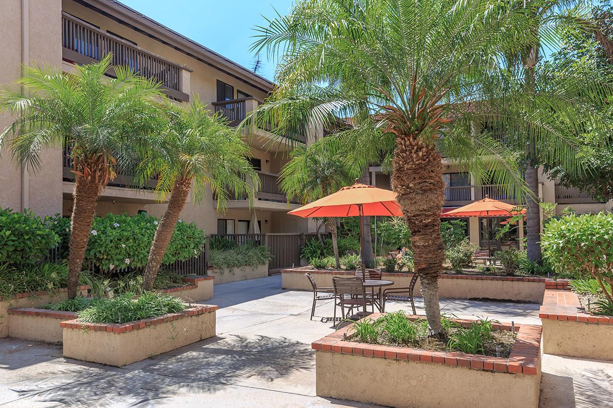 Acacia Wood Village Apartments courtyard with tables and chairs