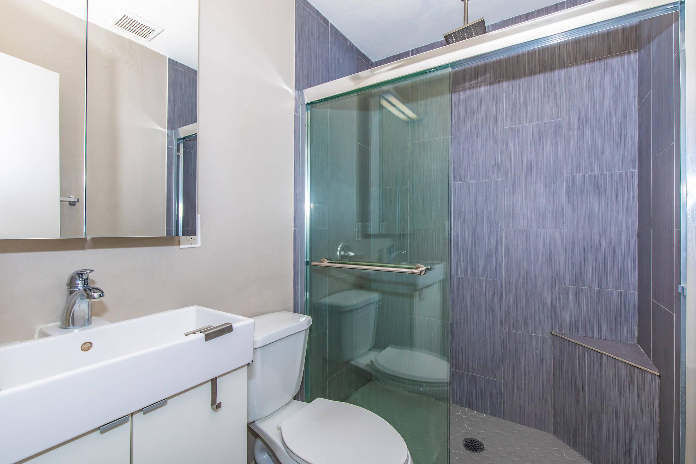 a shower that has a sink and a mirror