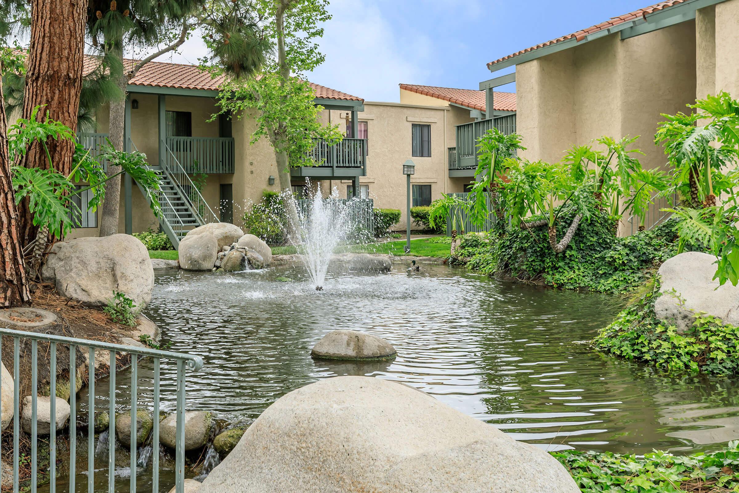 a flock of seagulls in a pool of water in front of a house