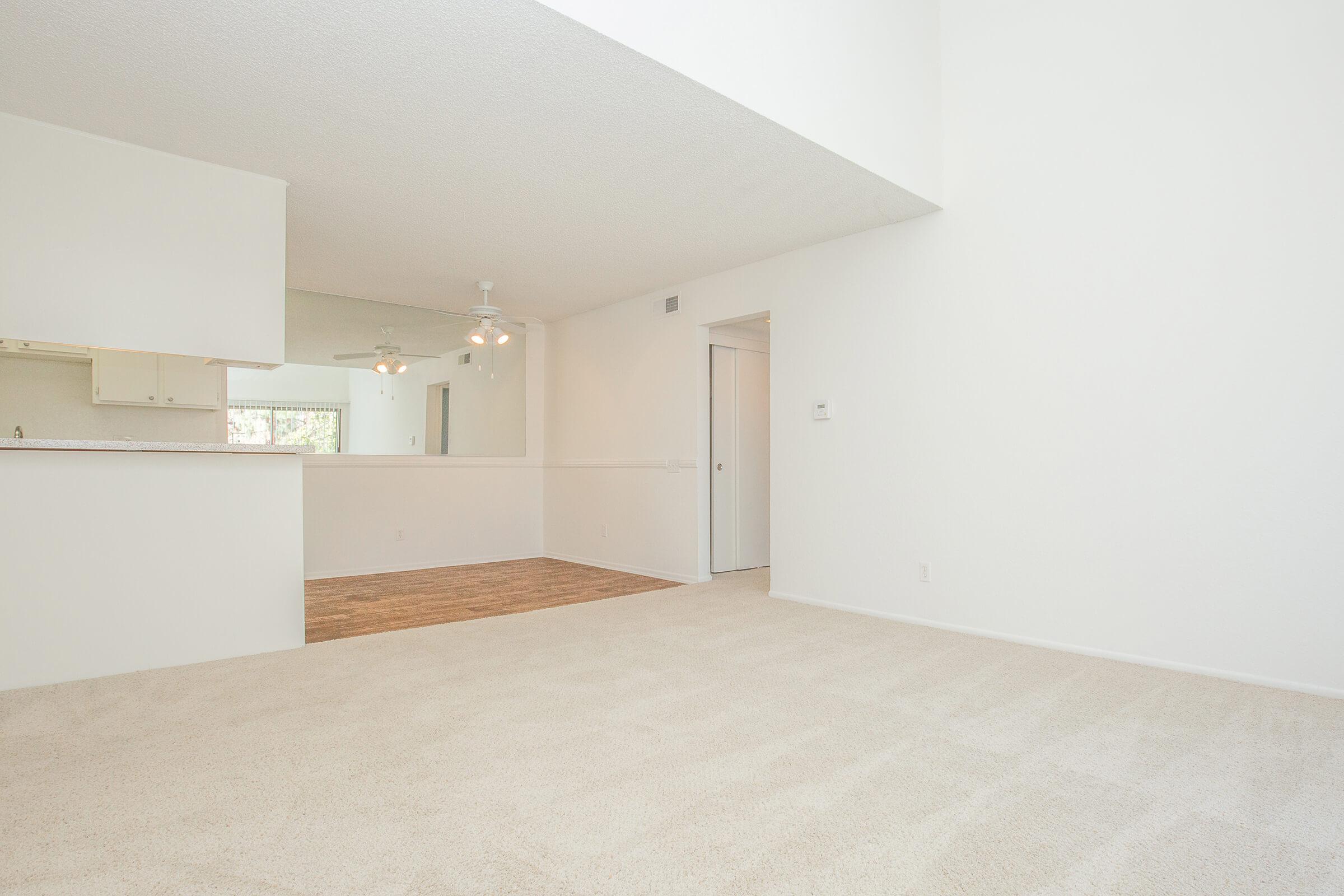 Living room with carpet