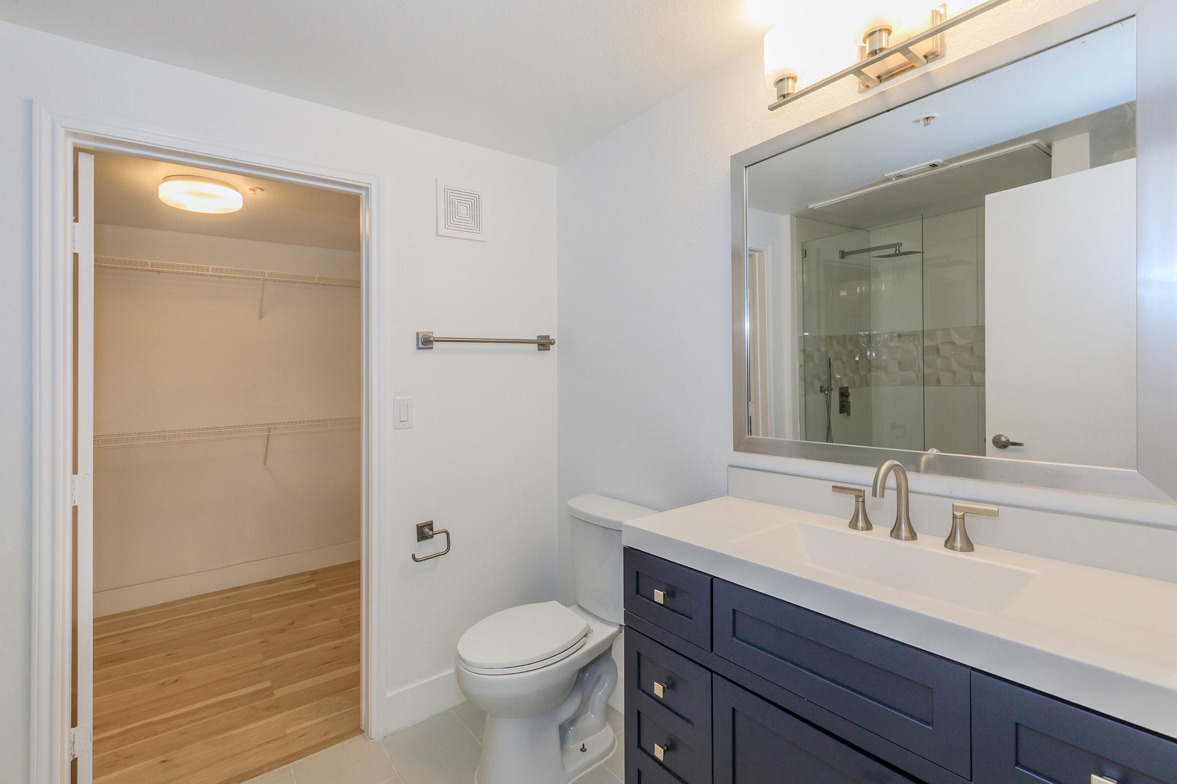 Modern bathroom with a double sink vanity featuring dark cabinetry, a large mirror, and contemporary faucet fixtures. Includes a toilet and a glass-enclosed shower. A spacious closet is adjacent, with sliding doors and light wood flooring. The walls are painted white, enhancing the clean and bright look.