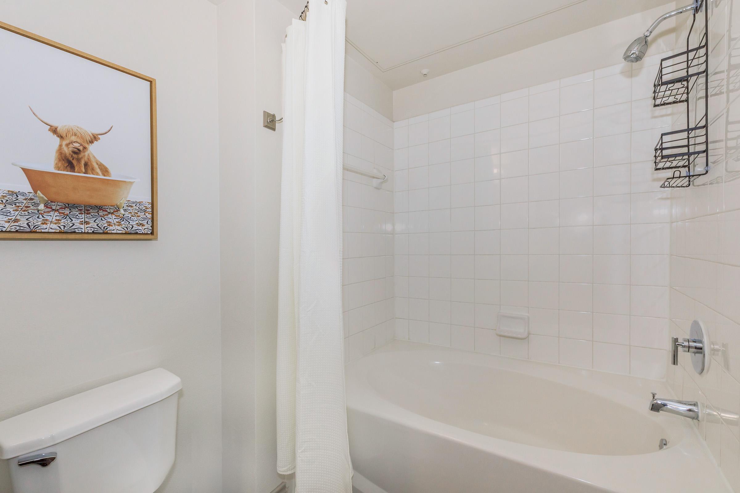 A clean bathroom featuring a white bathtub with a shower. There is a shower curtain and a wall-mounted rack for toiletries. A framed picture of a cow is displayed on the wall, adding a decorative touch to the space. The overall setting is bright and minimalist.