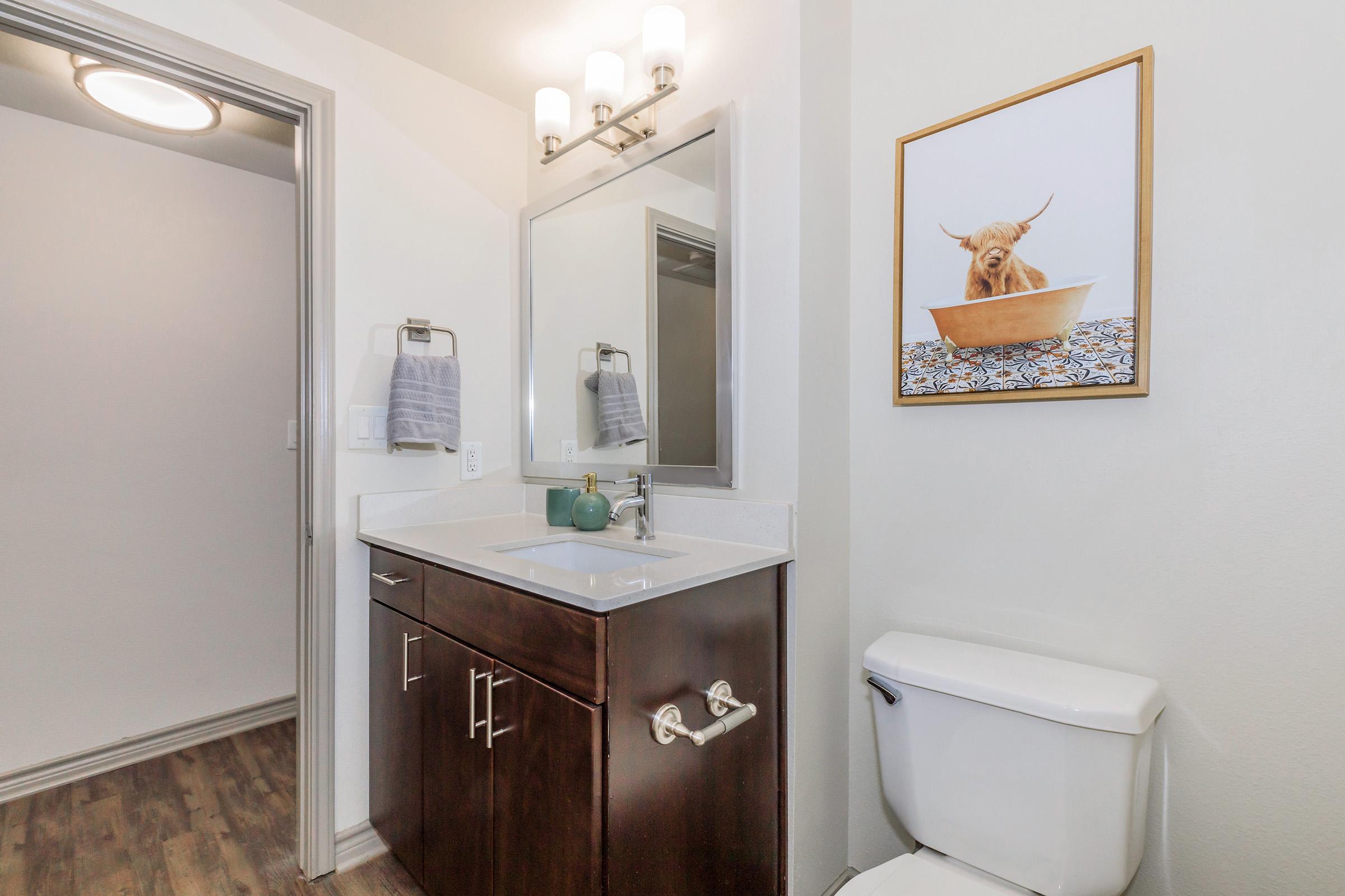 Modern bathroom featuring a double vanity with a rectangular mirror above, a decorative picture of a cow in a bowl on the wall, a toilet to the right, and wooden flooring. Soft lighting illuminates the space, emphasizing the clean, contemporary design.