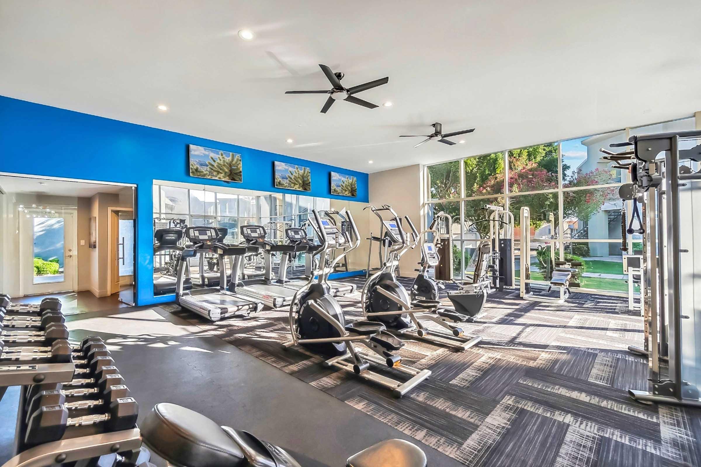 A modern gym interior featuring various fitness equipment, including treadmills, ellipticals, and weight machines. The space has large windows allowing natural light, ceiling fans for ventilation, and decorative blue walls with artwork displayed.