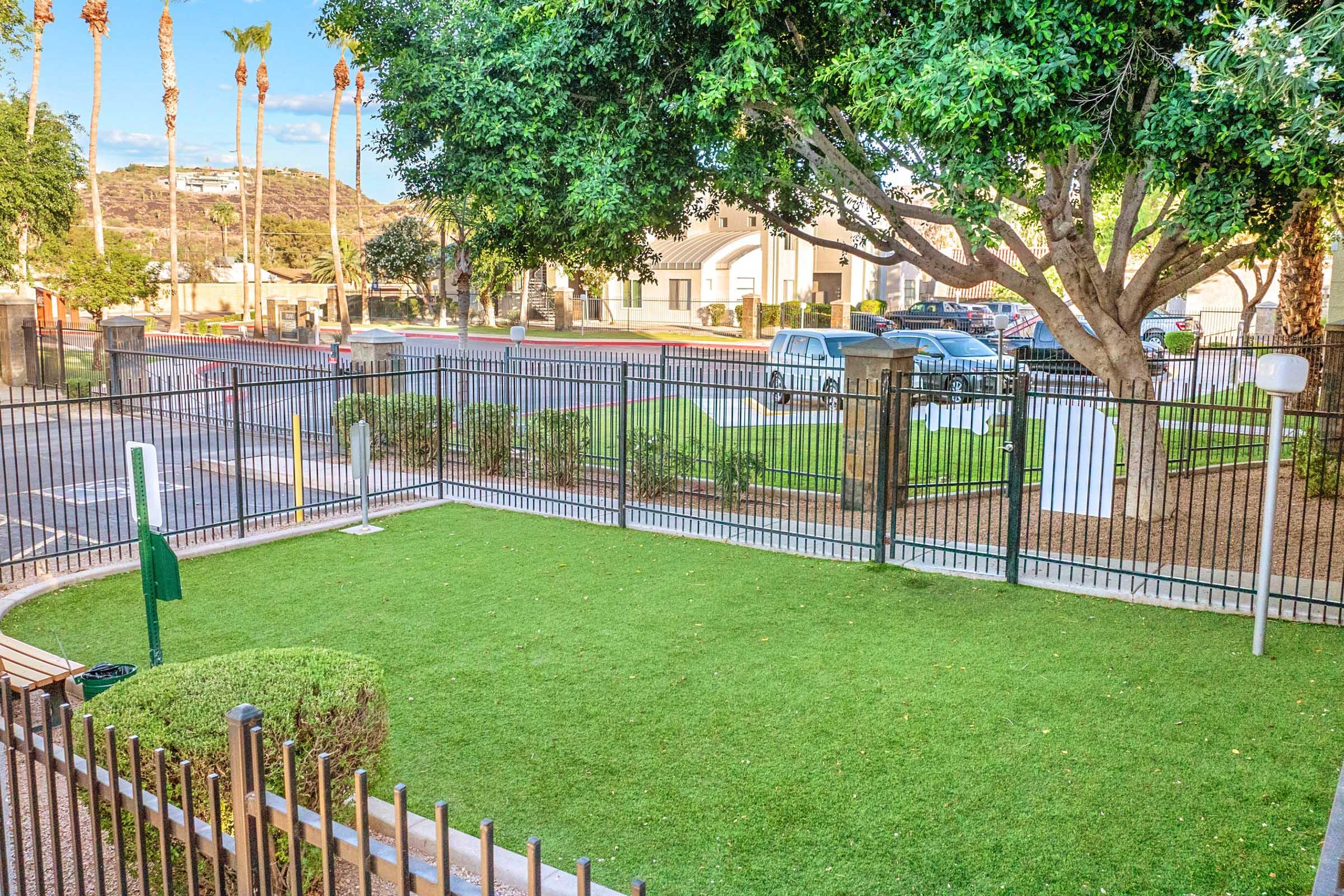 A fenced outdoor area with artificial turf, featuring a small green shrub, benches, and palm trees in the background. In the distance, a road with cars and buildings can be seen, creating a serene environment for relaxation or play.