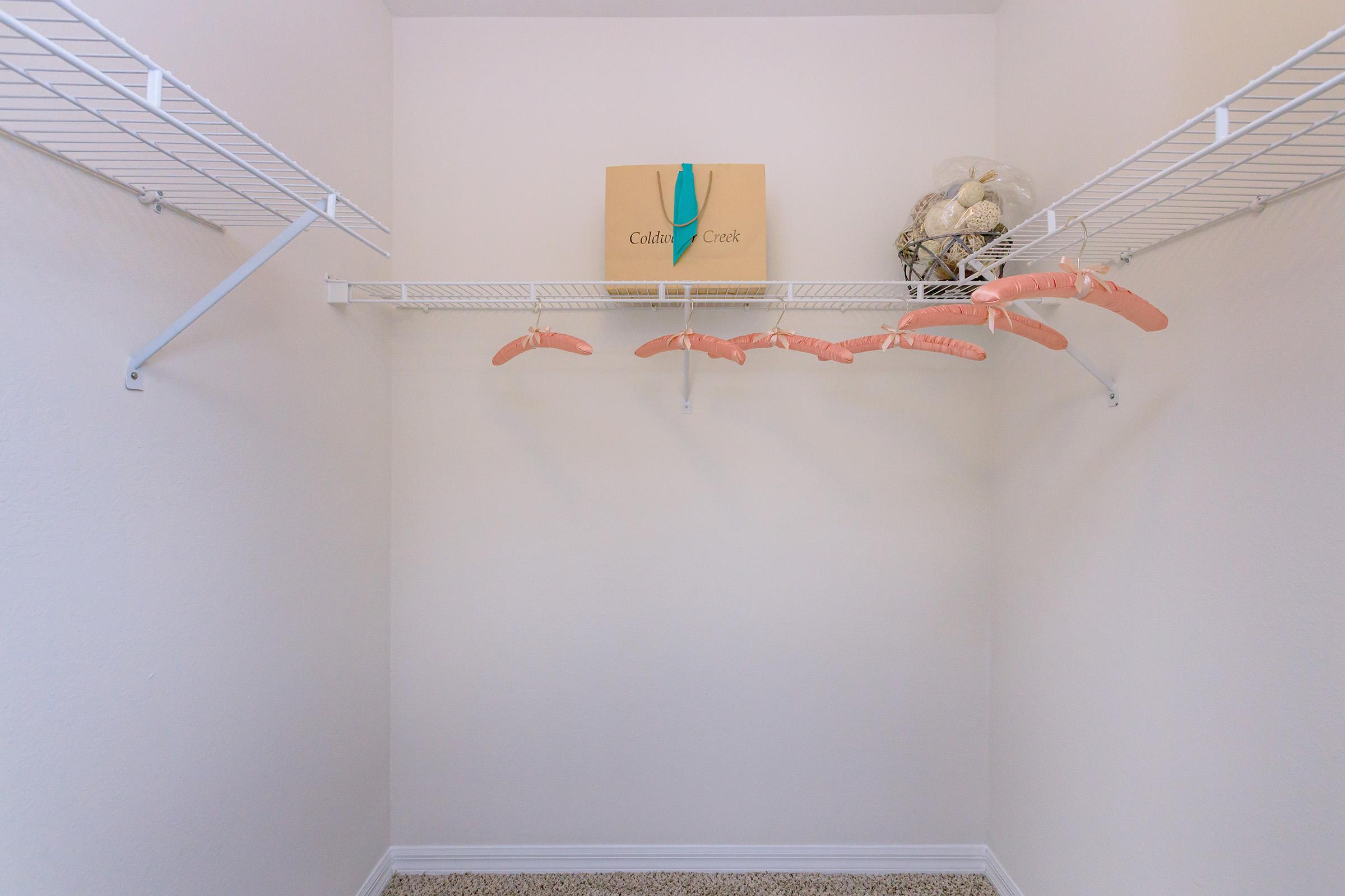 A view of a minimalist closet featuring white wire shelving. Several pink hangers are evenly spaced on the lower shelf, while a decorative box with a teal handle sits on the upper shelf. The closet has beige carpeting and plain white walls, creating a clean and organized appearance.
