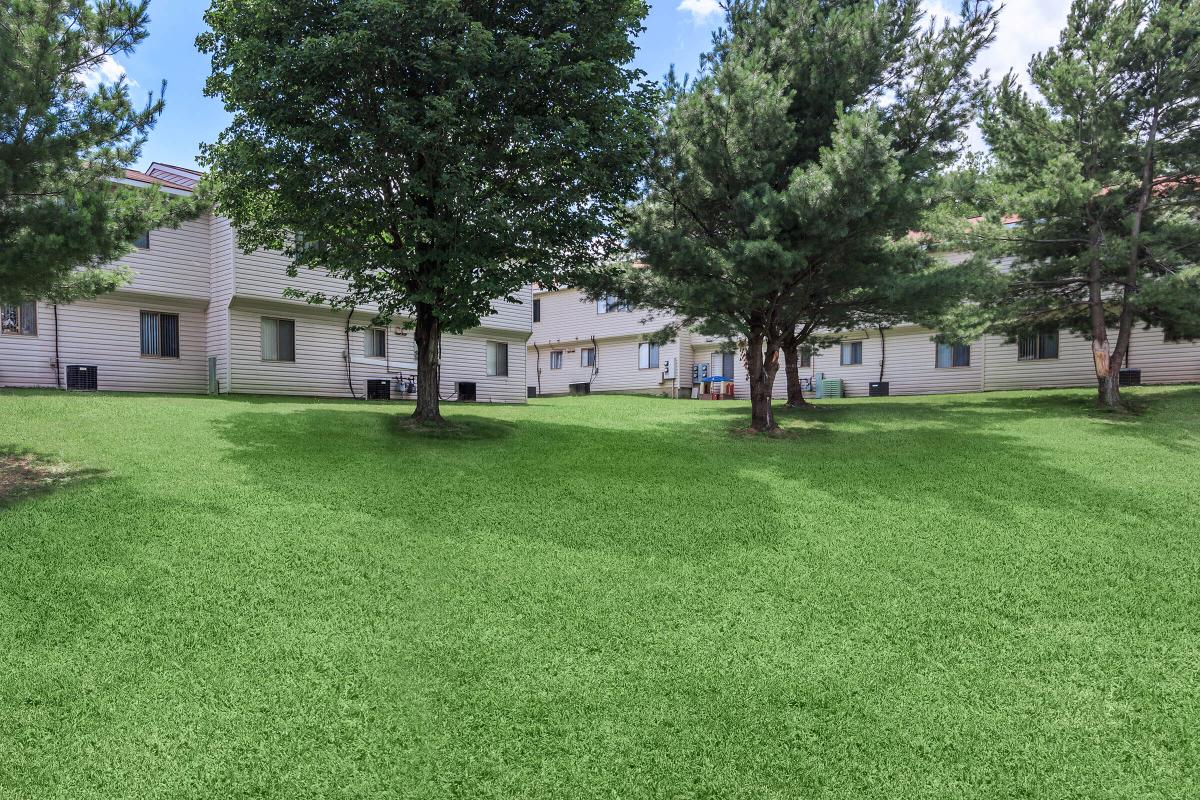 a group of lawn chairs sitting on top of a lush green field