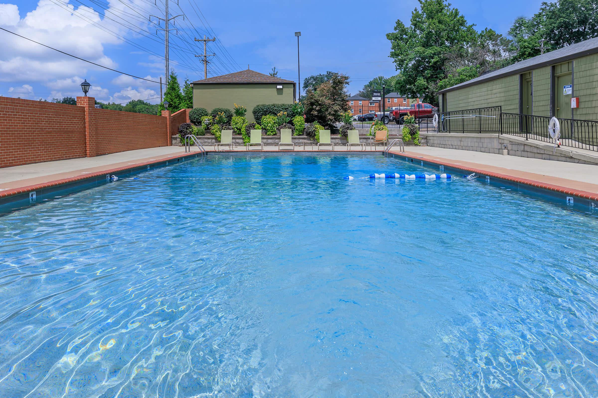 Shimmering Swimming Pool