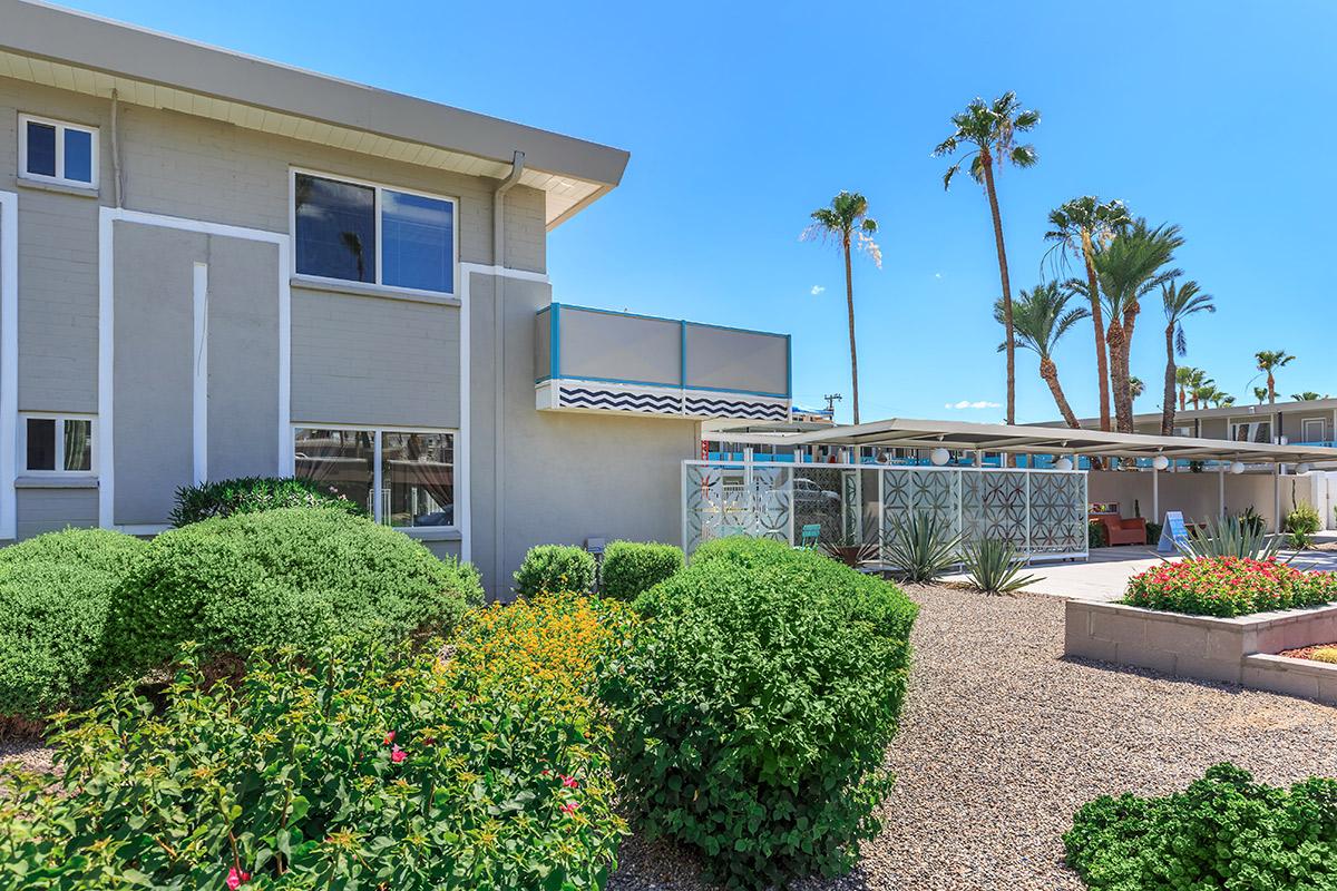 A modern building surrounded by lush greenery and landscaping, with palm trees in the background under a clear blue sky. The scene includes a patio area with shaded seating and vibrant flowers, creating a serene outdoor atmosphere.