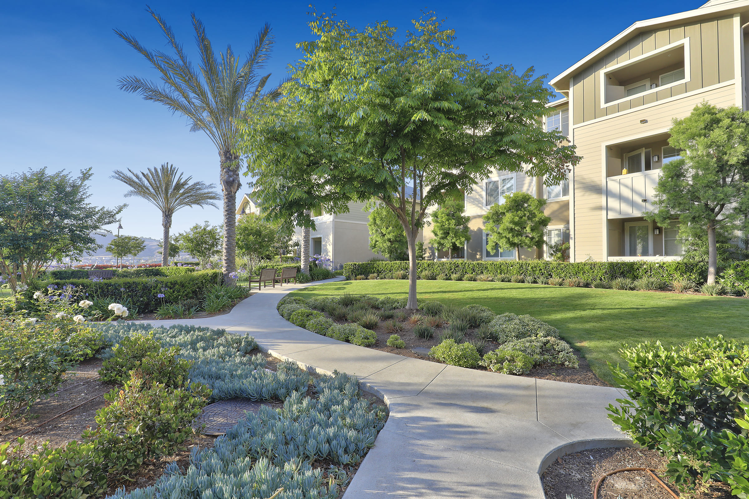 photo of Sendero Gateway Apartment Homes grounds