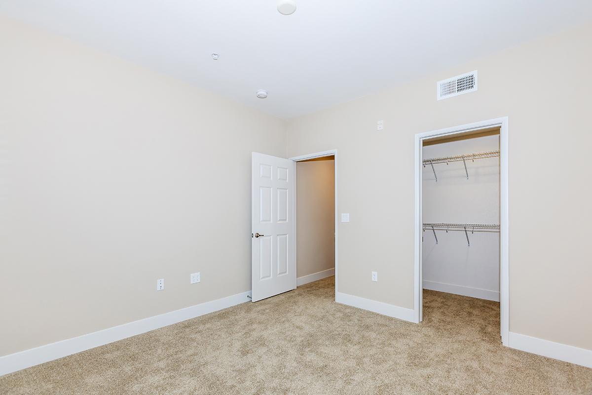 Carpeted bedroom with open closet door