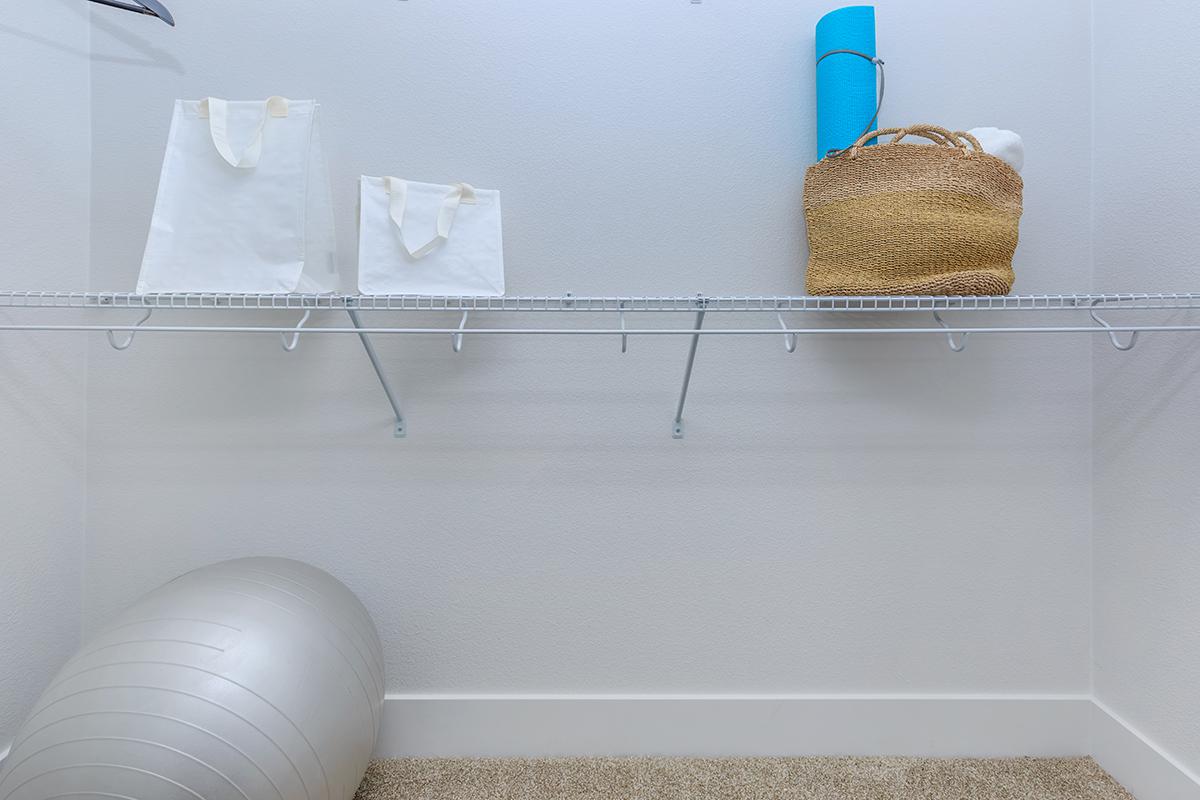Walk-in closet with shopping bags