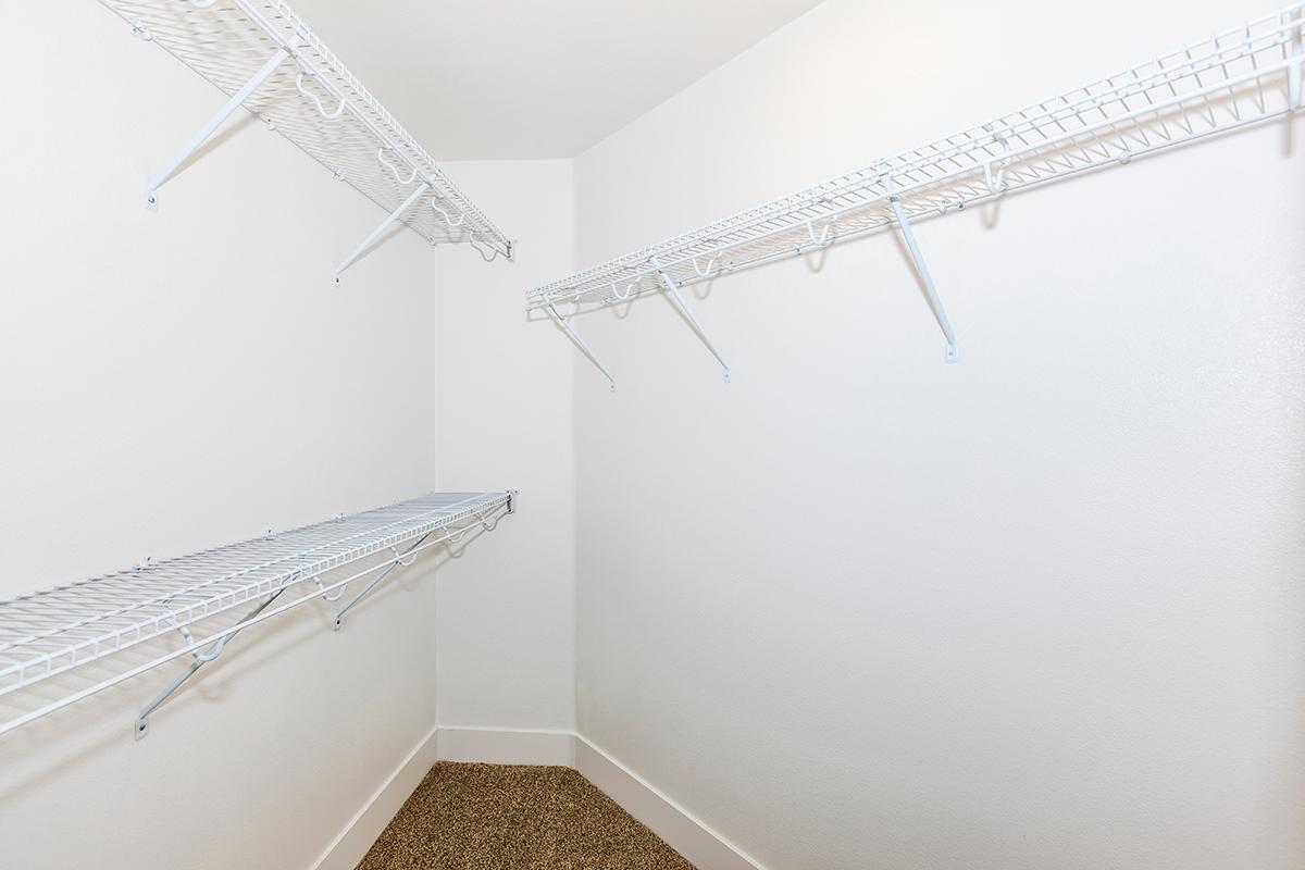 Vacant walk-in closet with carpet