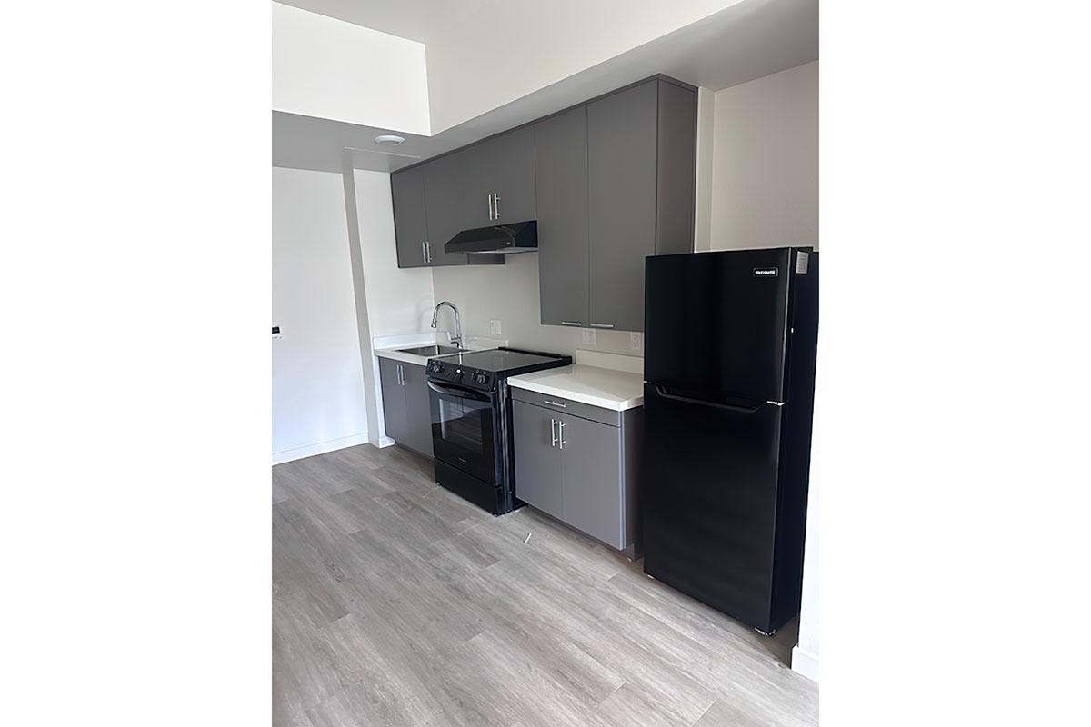 A modern kitchen featuring gray cabinetry, a black refrigerator, and a black stove.