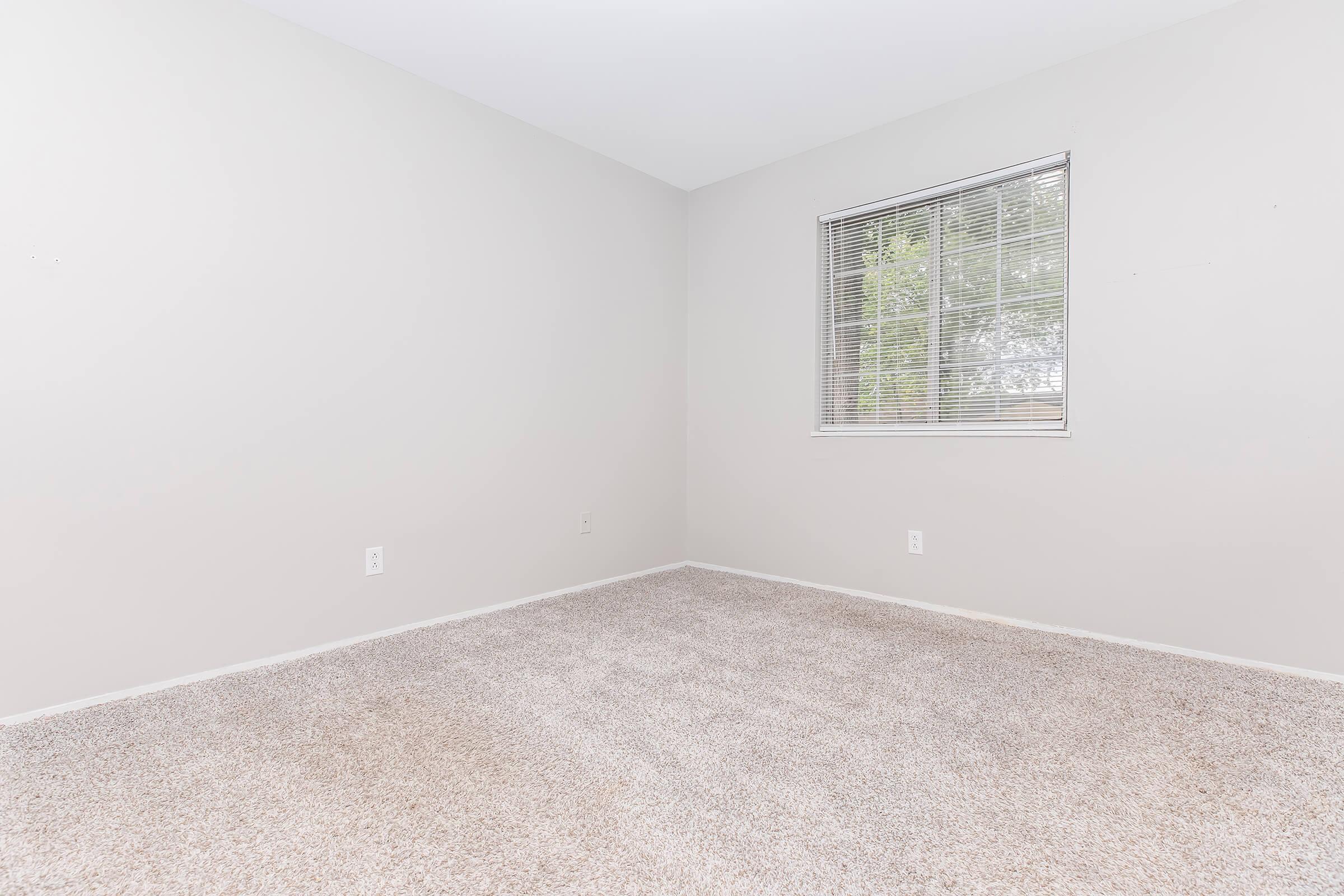 A spacious, empty room with light beige carpet and pale gray walls. A window with blinds allows natural light to enter, revealing a view of greenery outside. The room features minimal decor, creating a clean and open atmosphere, perfect for personalization or use as a versatile living space.