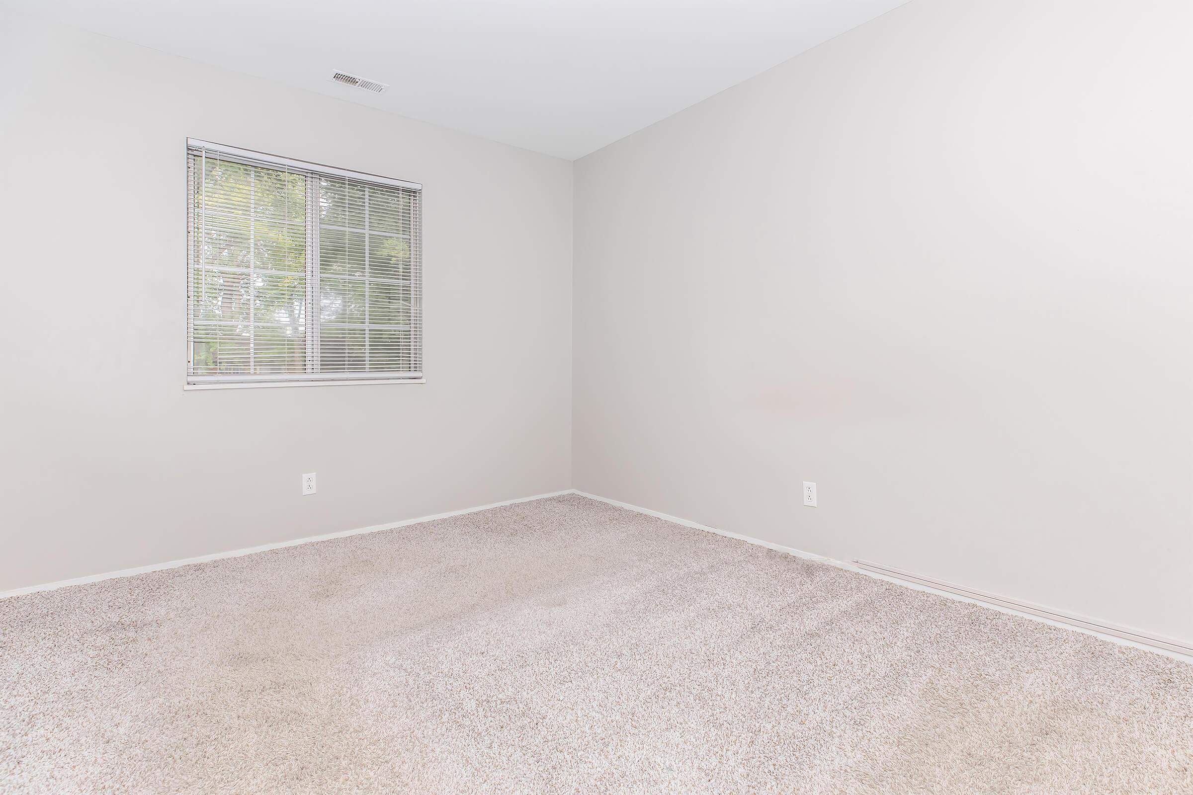 Empty room with light gray walls and carpeted flooring. A window with blinds is located on the left side, allowing natural light to enter. The space is minimalist, featuring no furniture or decoration, creating a clean and open atmosphere.
