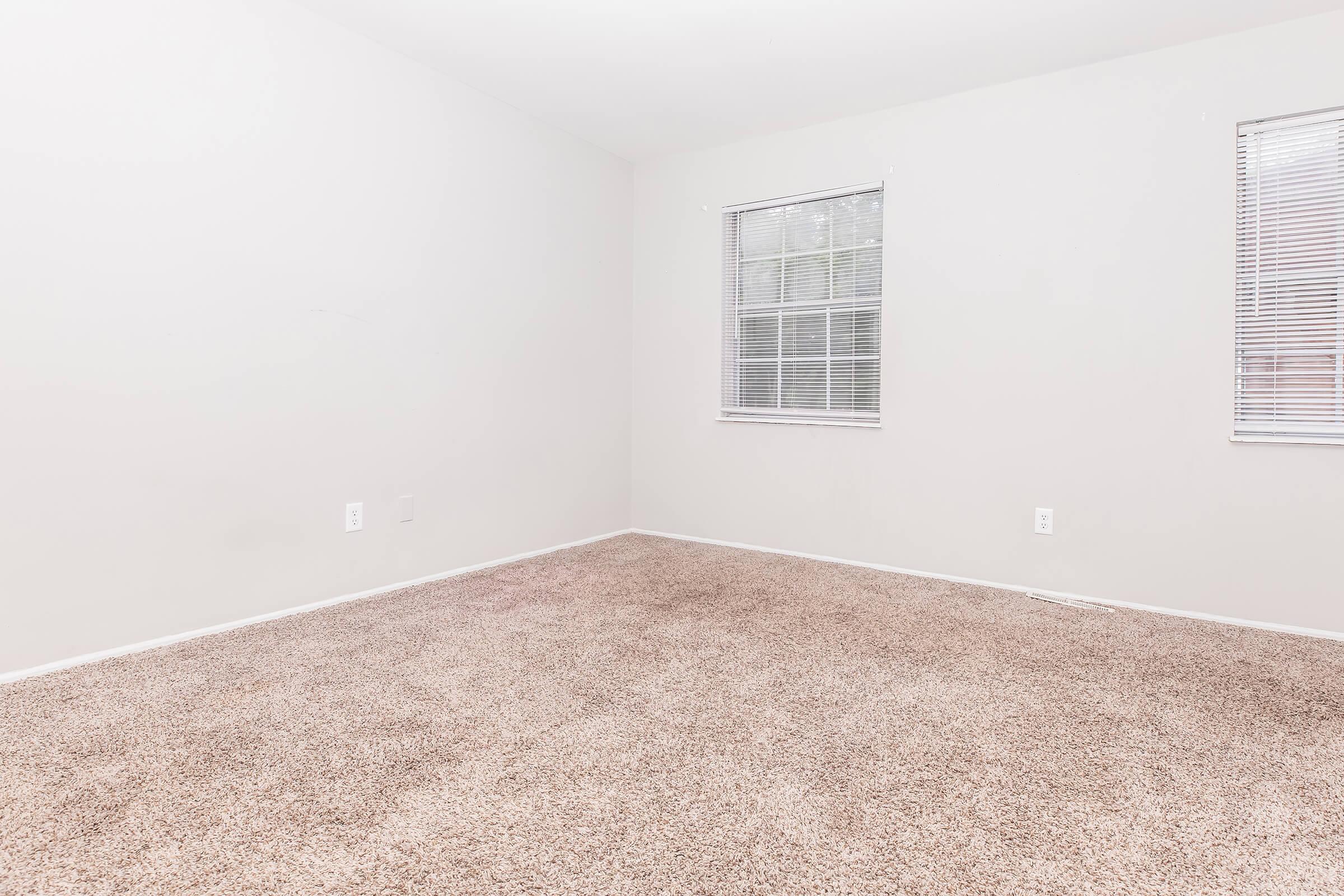 Empty room with beige carpet, two windows with blinds letting in natural light, and plain white walls. The space is unfurnished, creating a clean and minimalistic appearance.