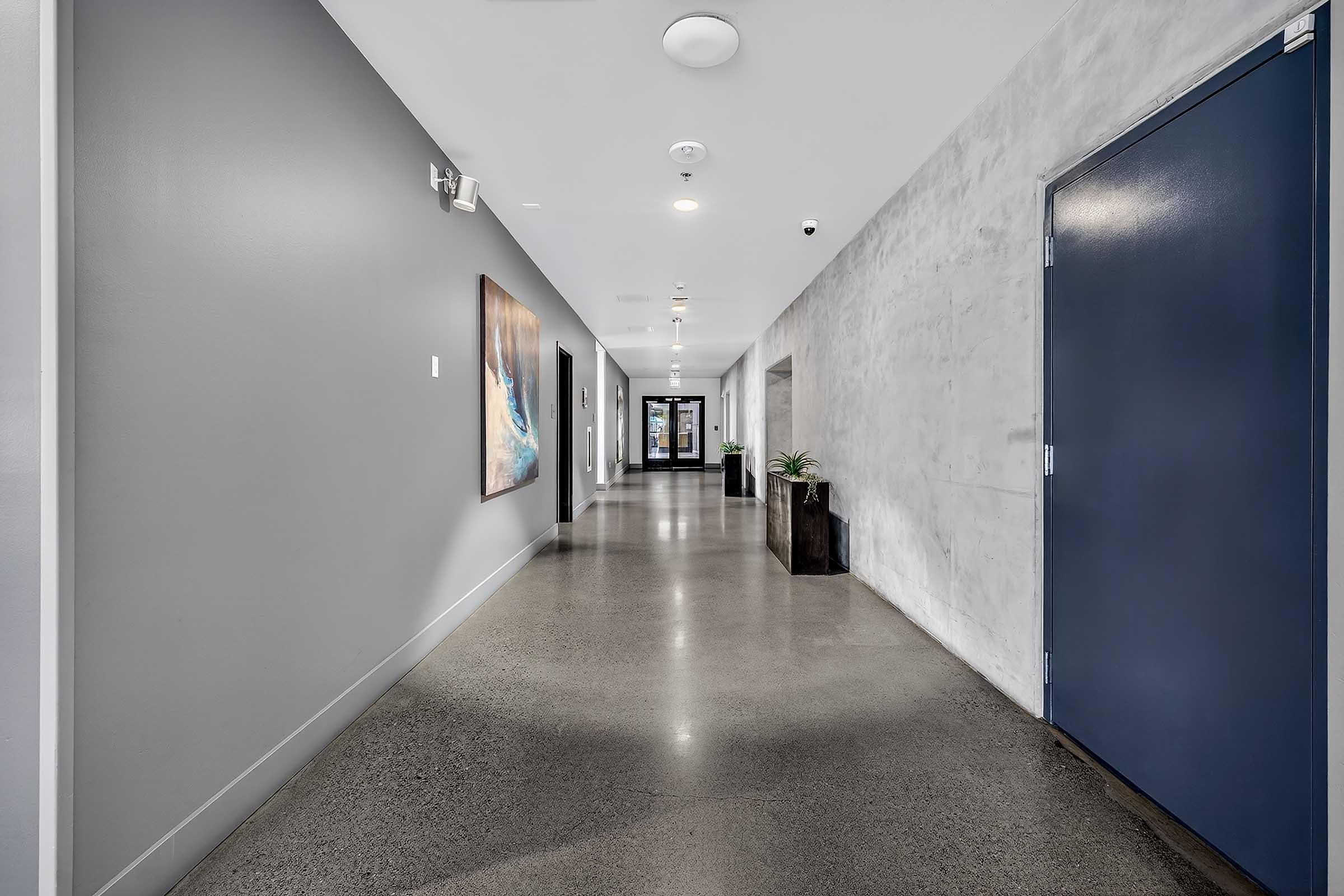 A modern hallway featuring polished concrete floors, gray and concrete walls, and bright overhead lighting. On one side, an abstract artwork hangs, while the other side has a blue door and a potted plant near the end of the corridor. Natural light enters from multiple doors along the space.