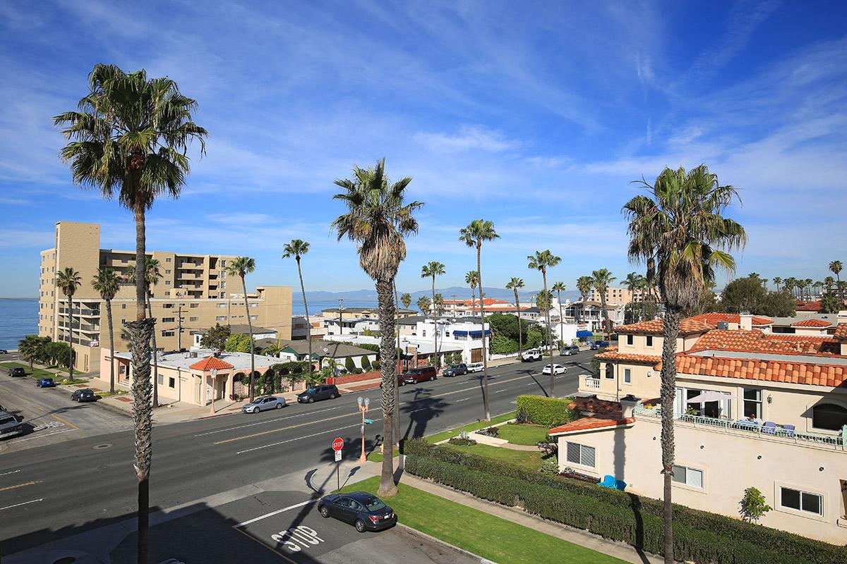 Rooftop view of buildings