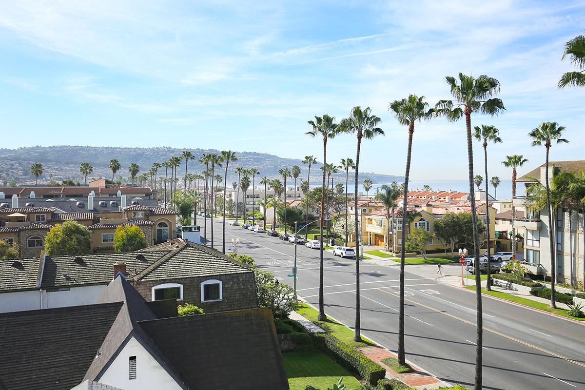 Street and green trees